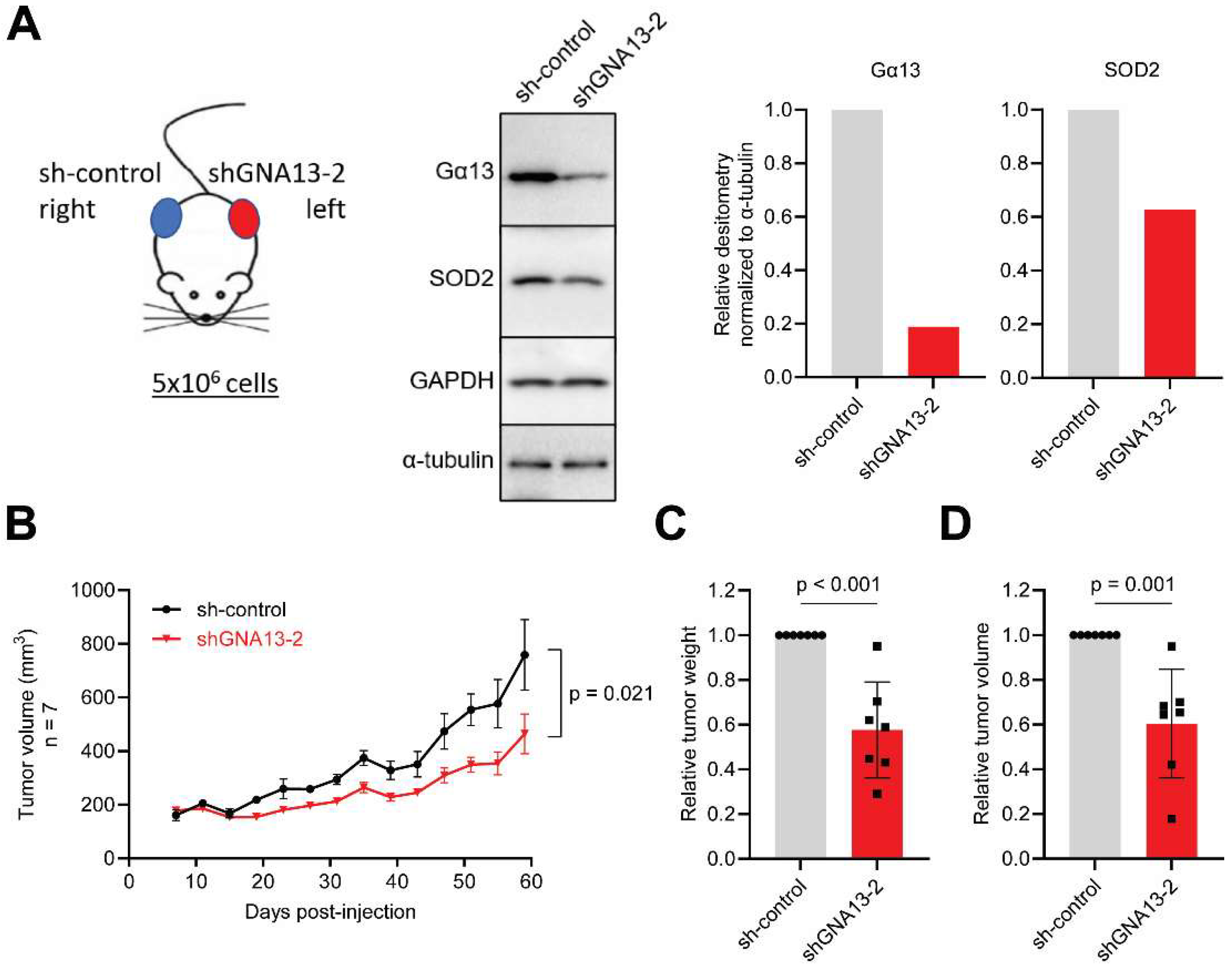 Ijms 26 04883 g004 Ijms 26 04883 g004