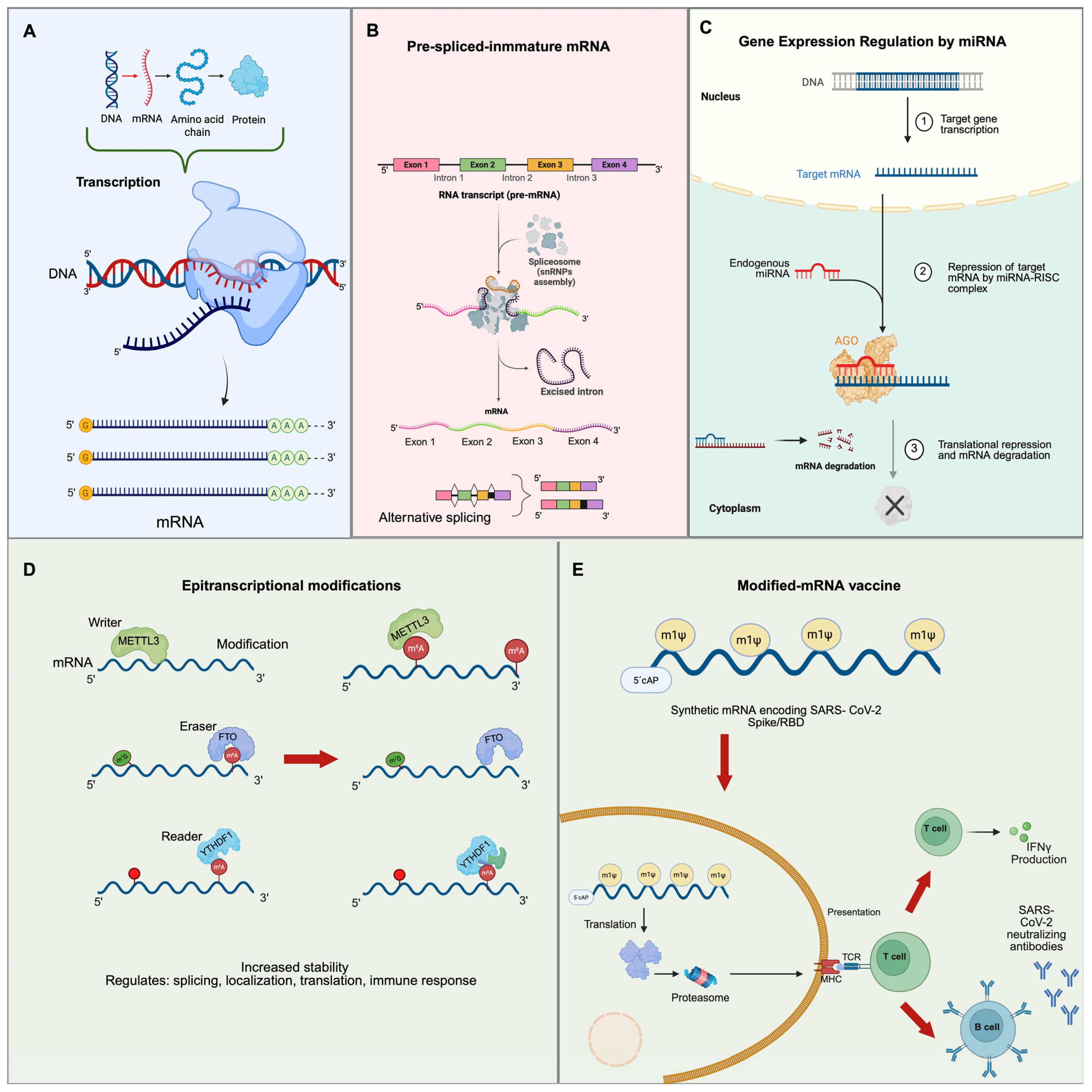 Ijms 26 04964 g002 Ijms 26 04964 g002