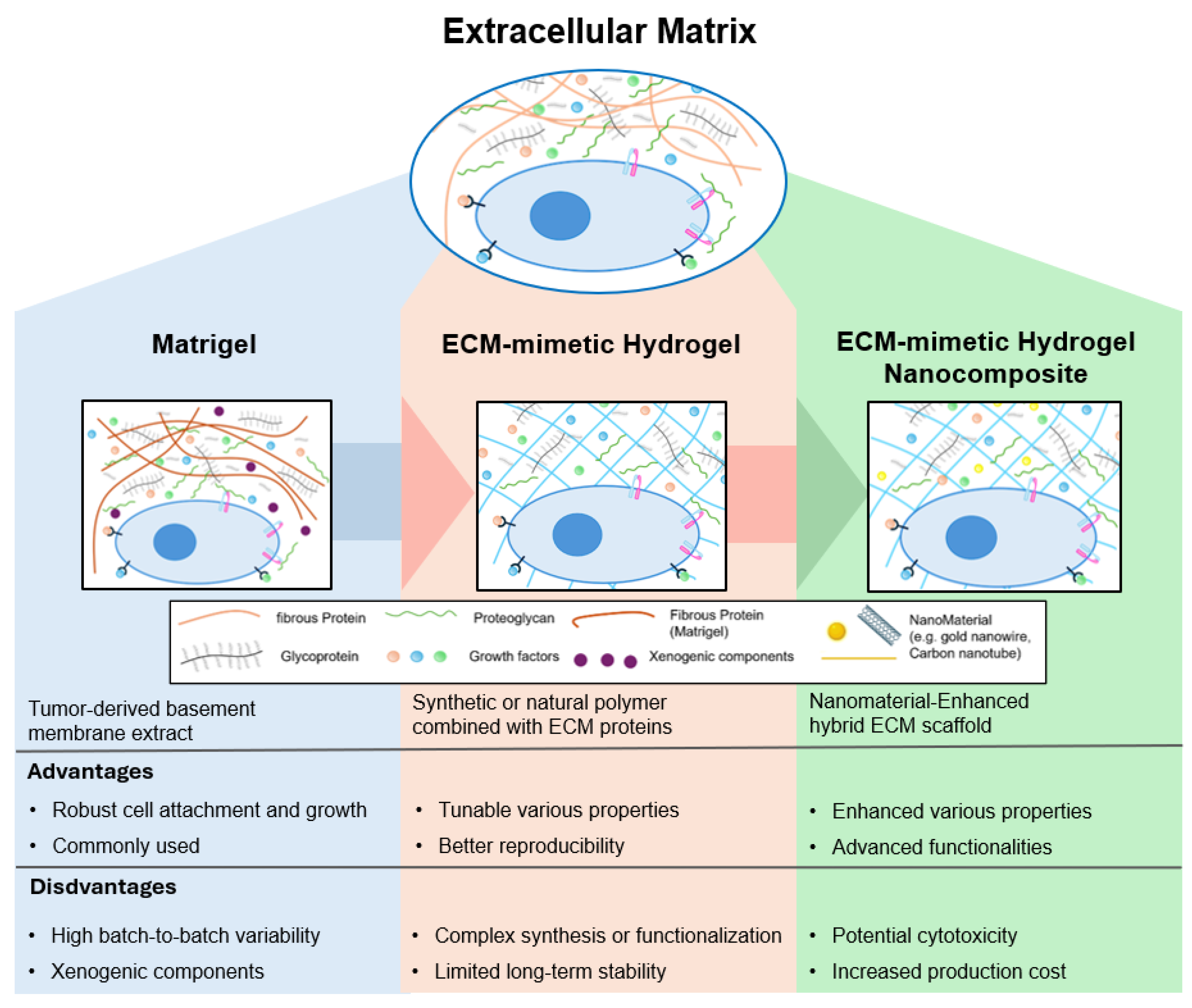 Ijms 26 04987 g001 Ijms 26 04987 g001