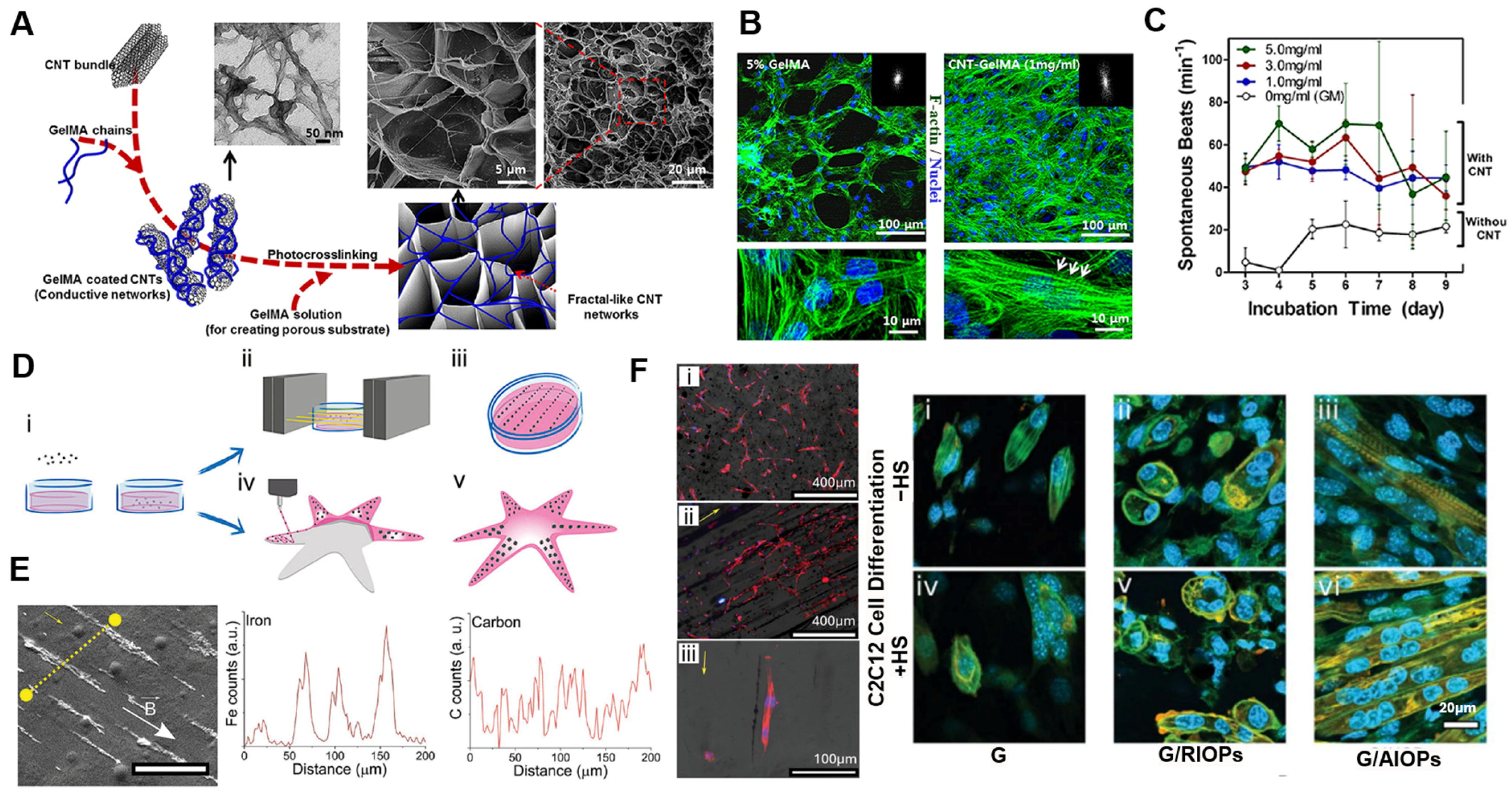 Ijms 26 04987 g003 Ijms 26 04987 g003