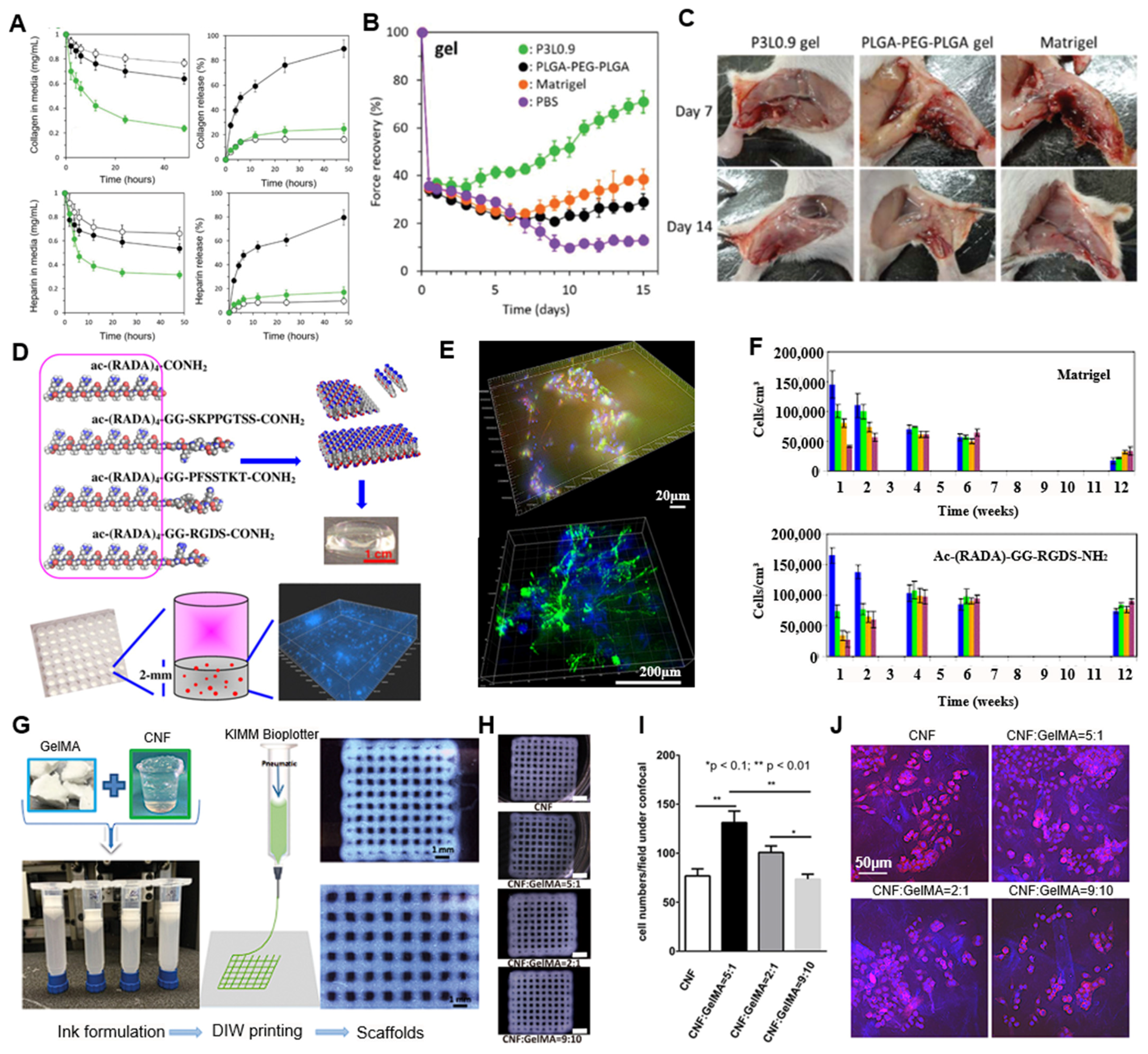 Ijms 26 04987 g005 Ijms 26 04987 g005