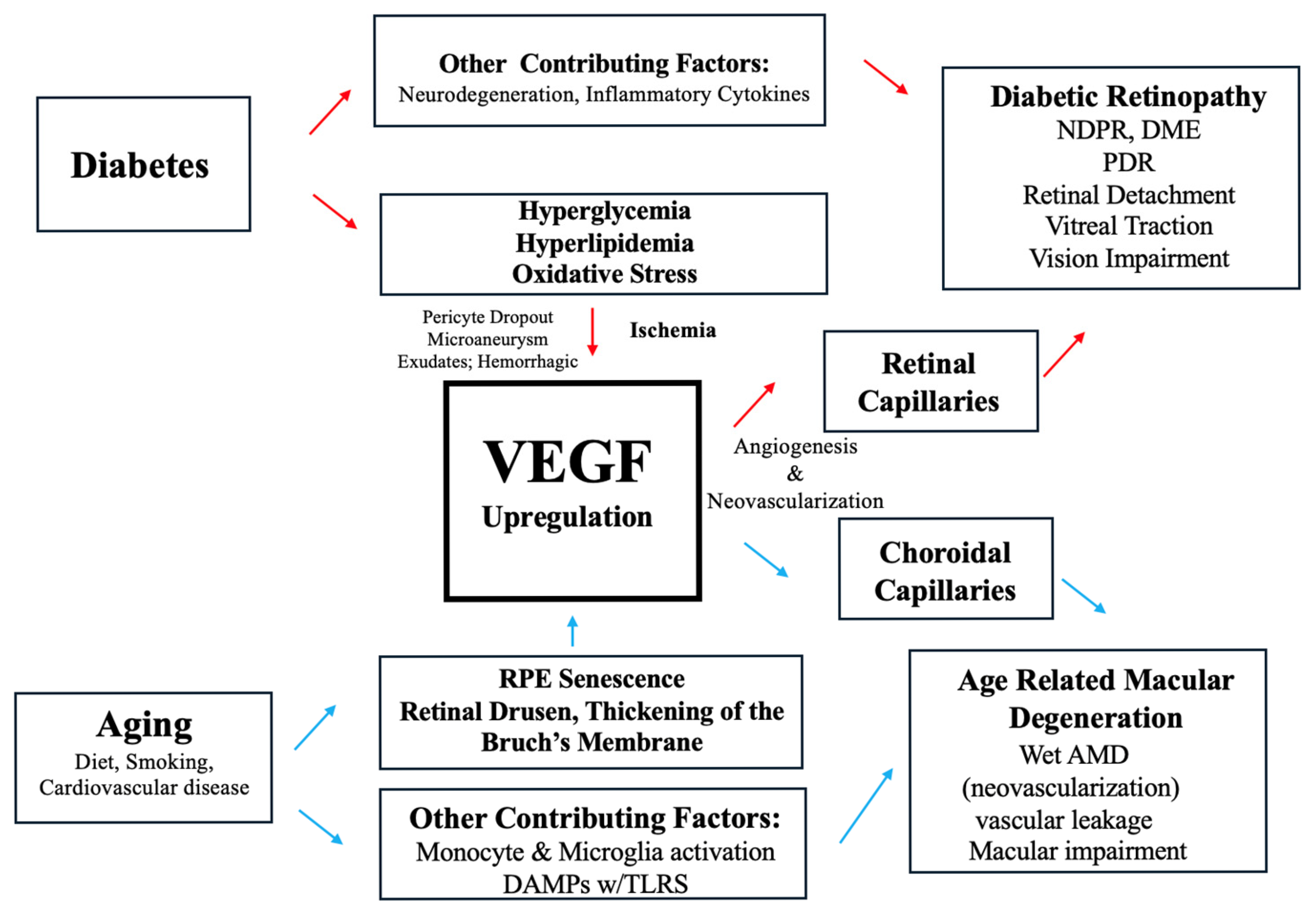 Ijms 26 04992 g001 Ijms 26 04992 g001