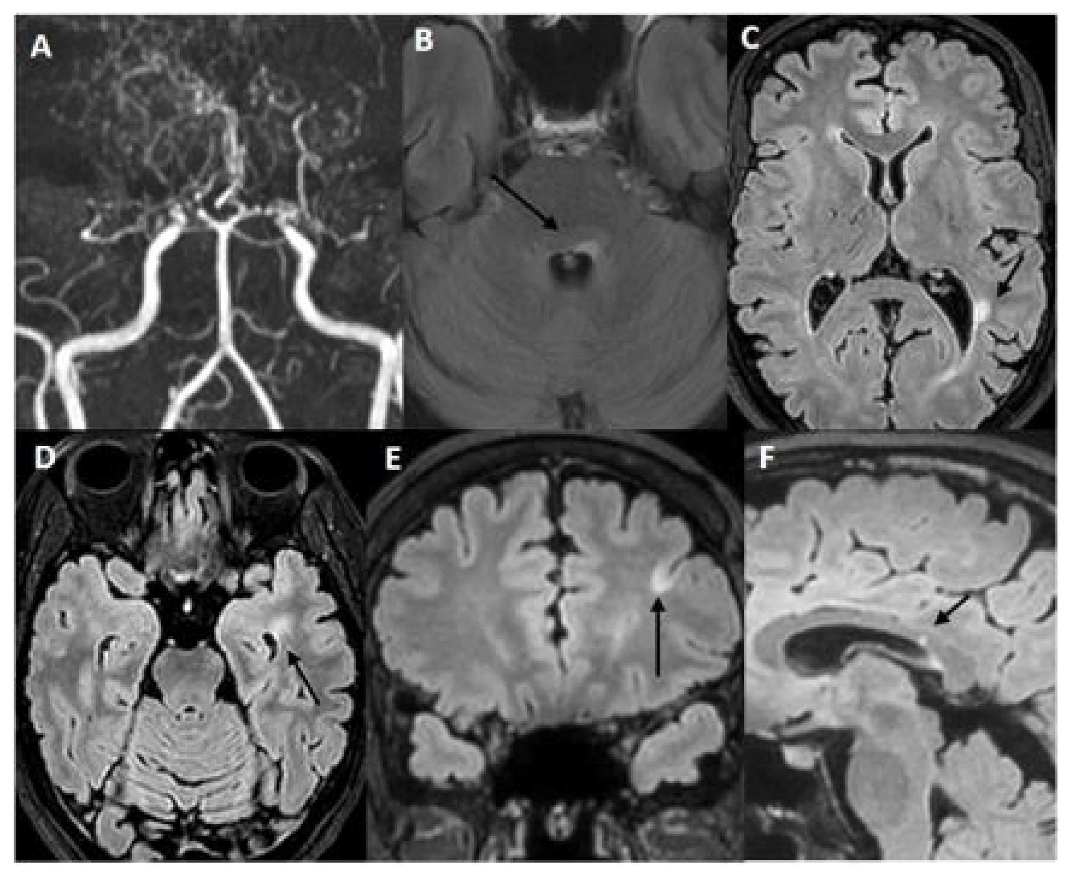 Ijms 26 05030 g001 Ijms 26 05030 g001