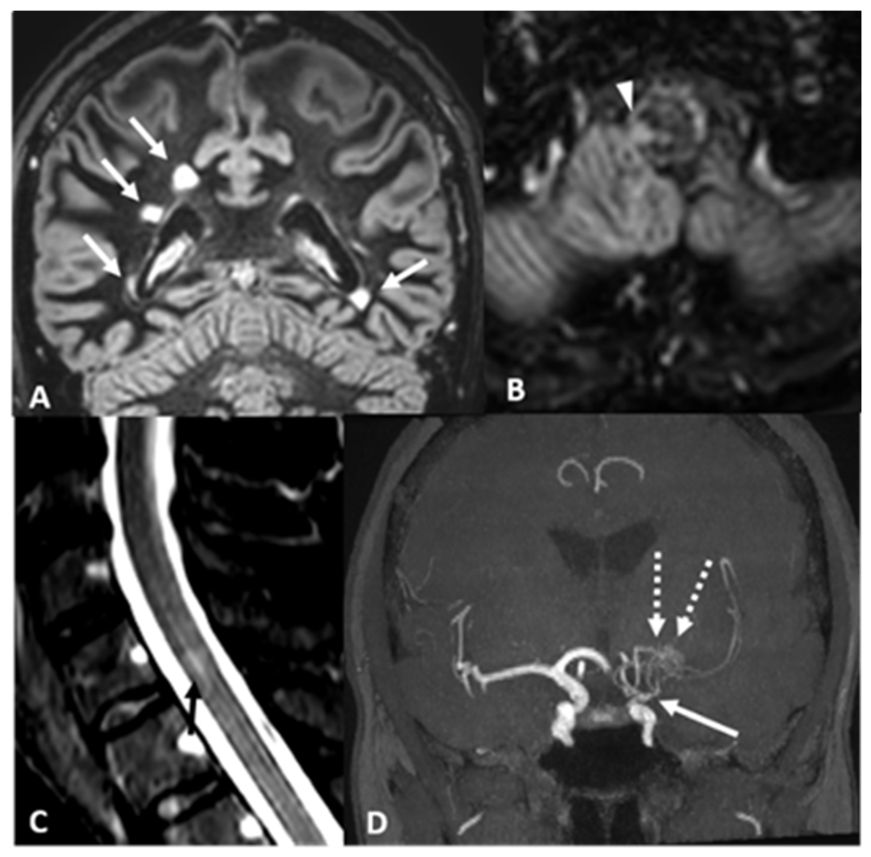 Ijms 26 05030 g002 Ijms 26 05030 g002