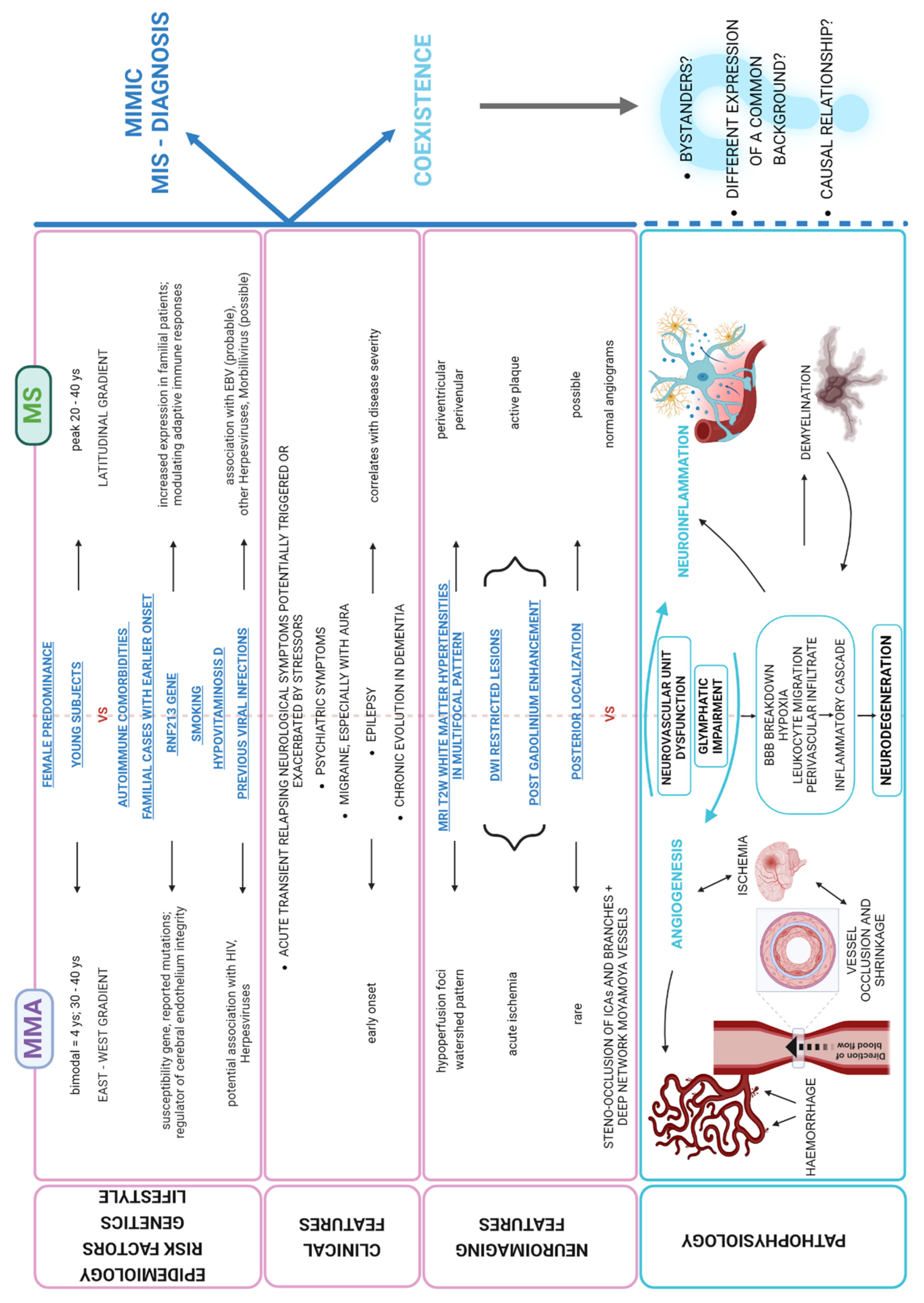 Ijms 26 05030 g003 Ijms 26 05030 g003