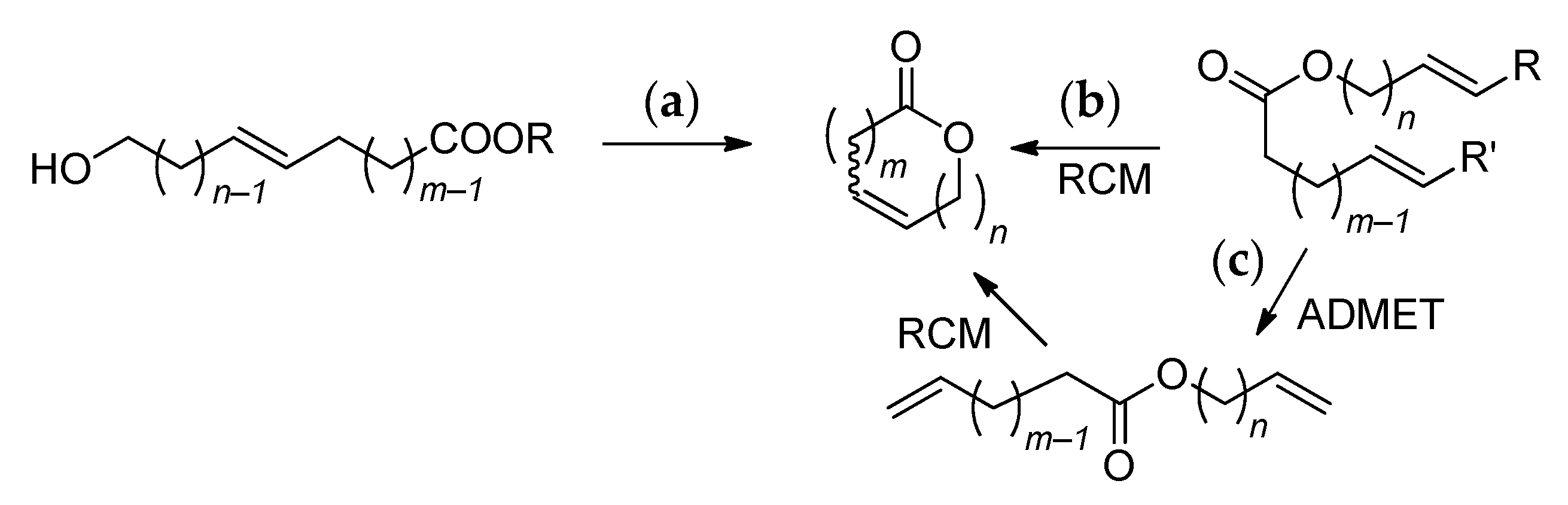 Ijms 26 05039 sch001