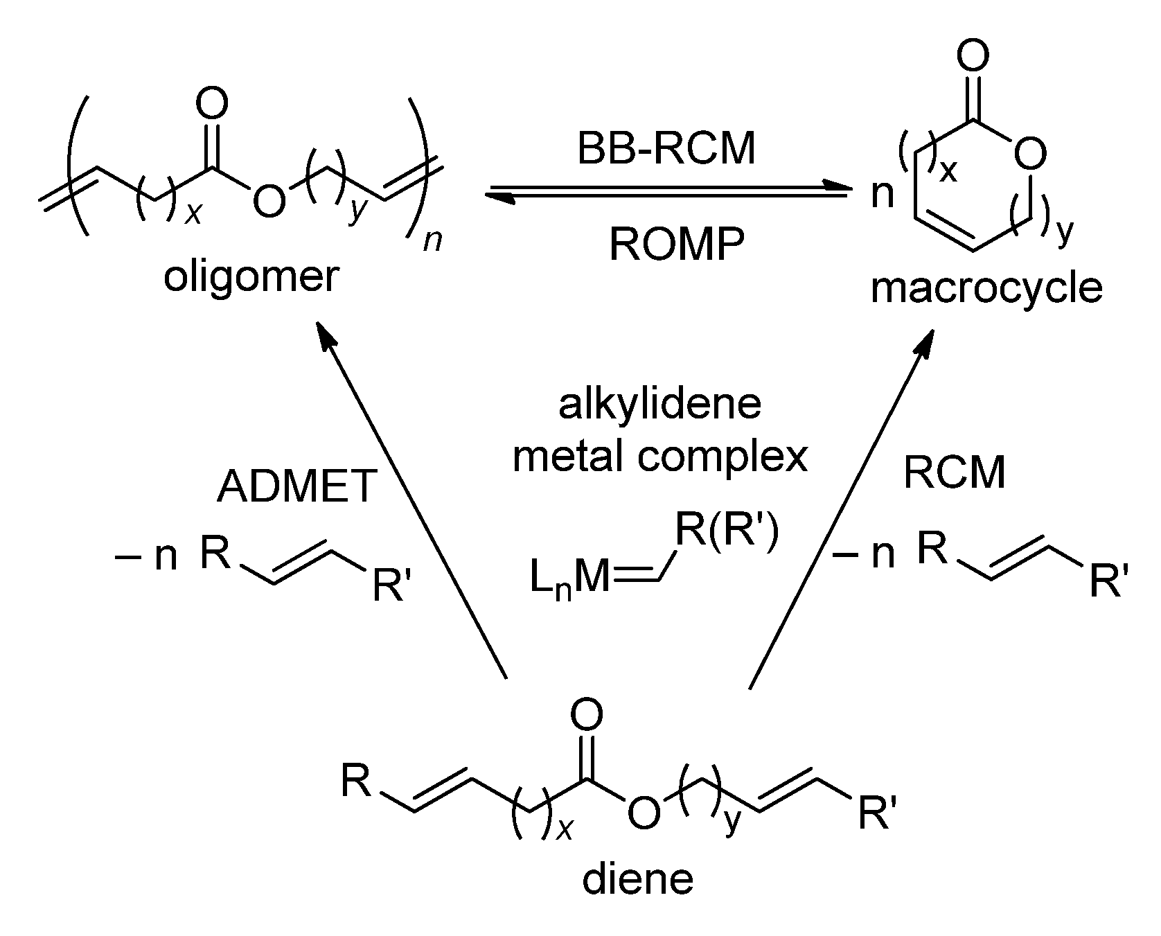 Ijms 26 05039 sch006
