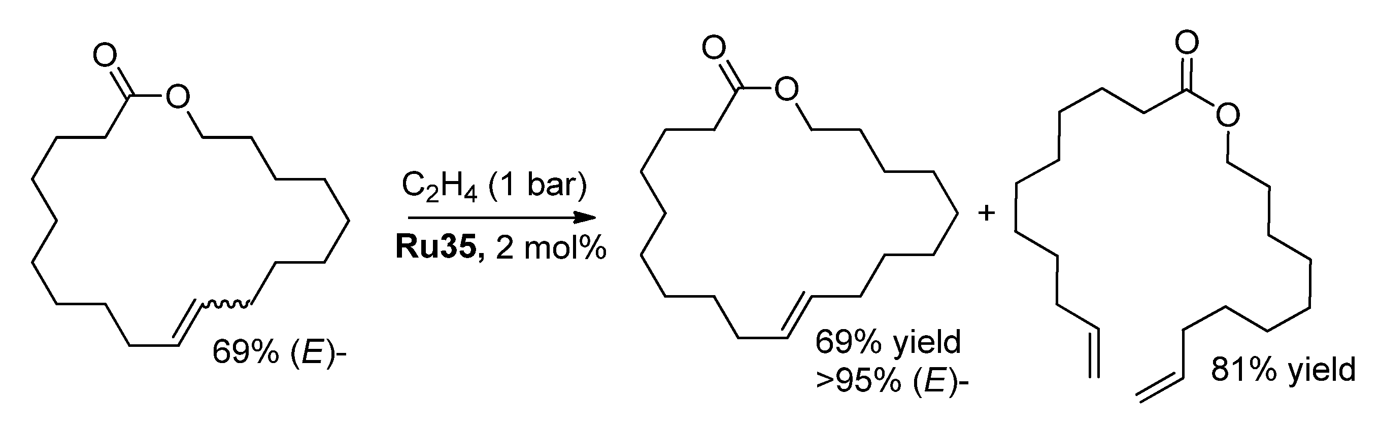 Ijms 26 05039 sch012