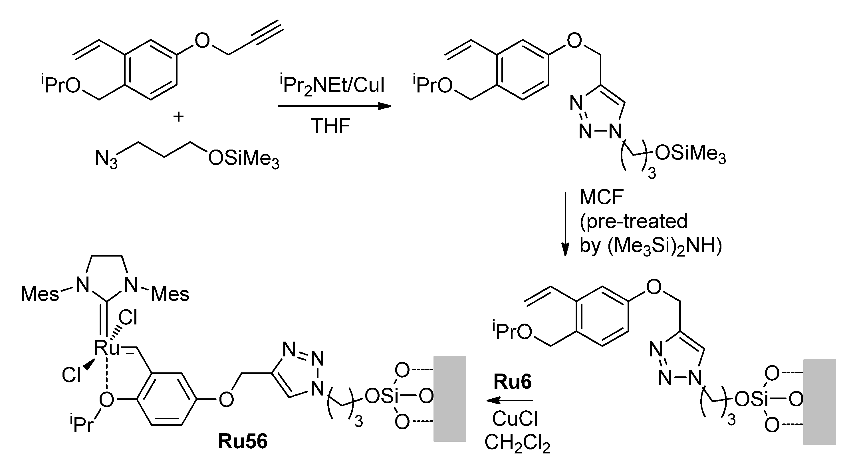 Ijms 26 05039 sch015