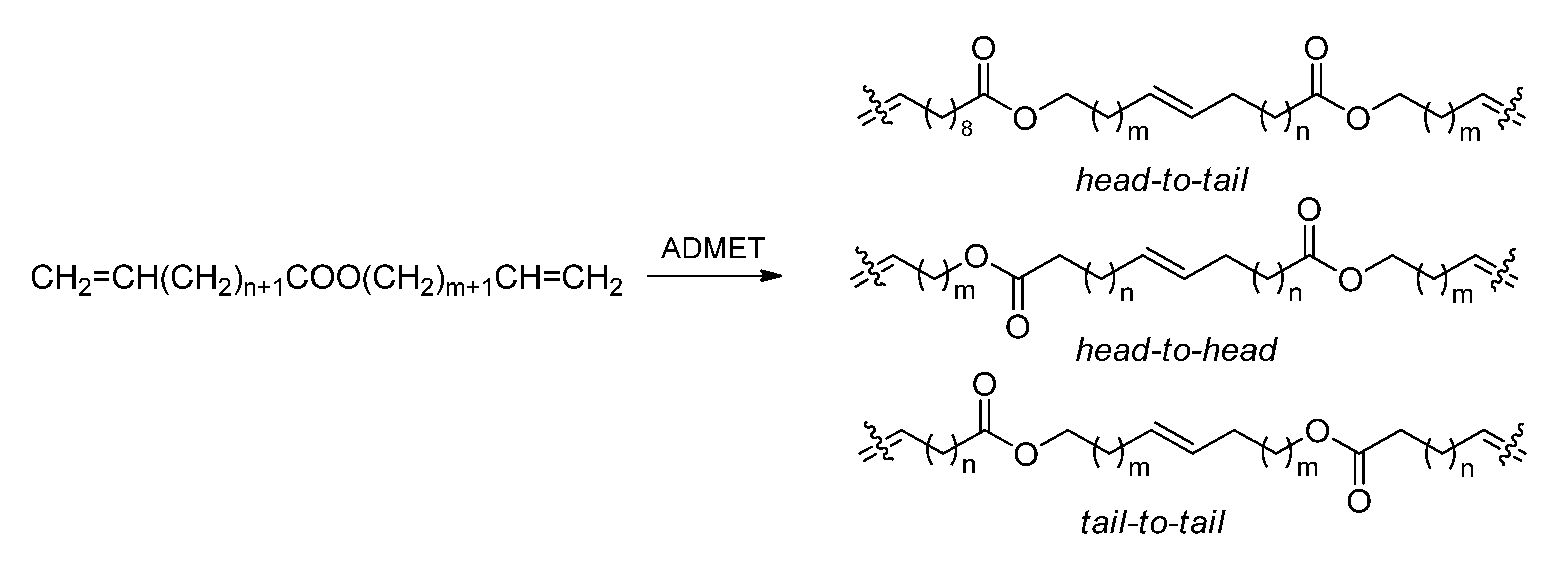 Ijms 26 05039 sch020