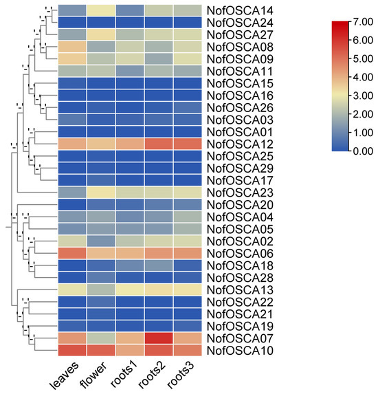 ファインハーブ Genome-Wide Identification, Phylogeny, and Abiotic Stress