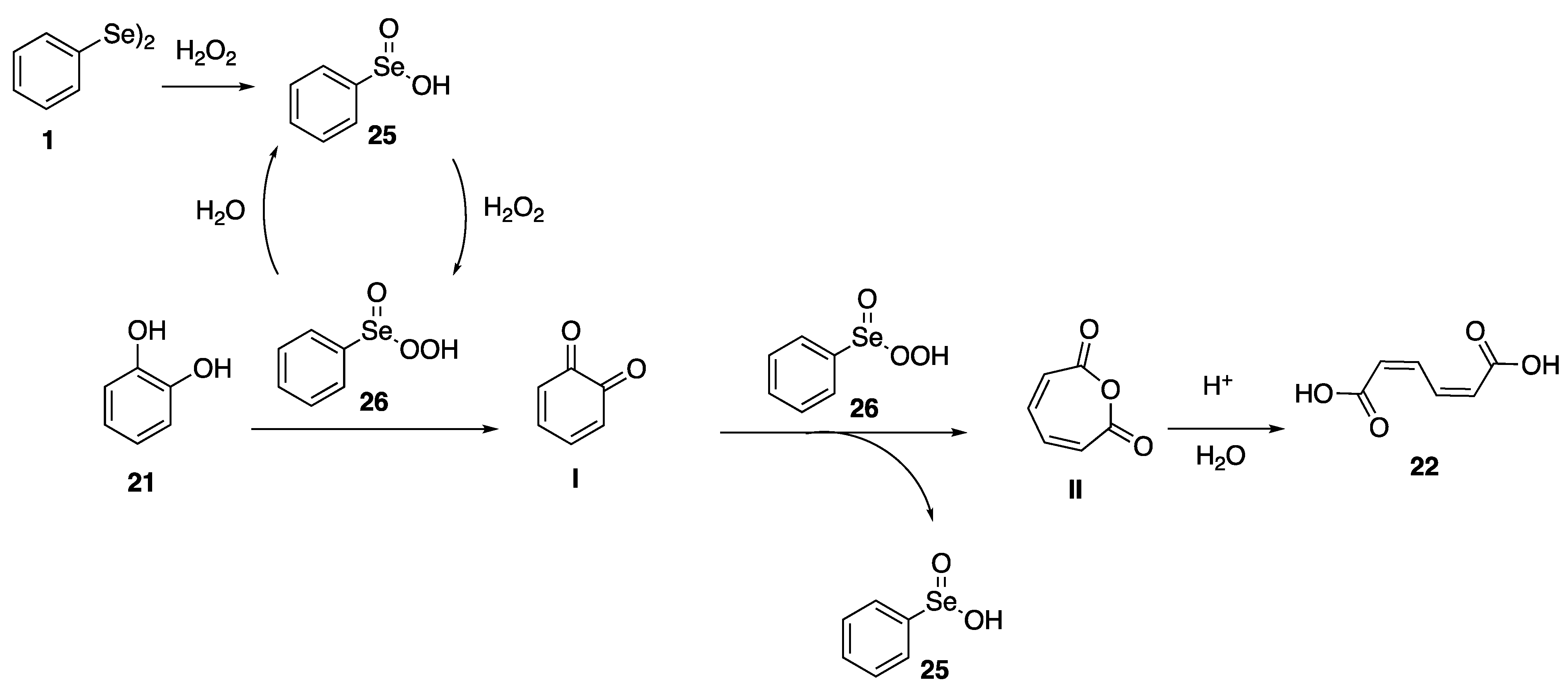 Ijms 26 05192 sch001