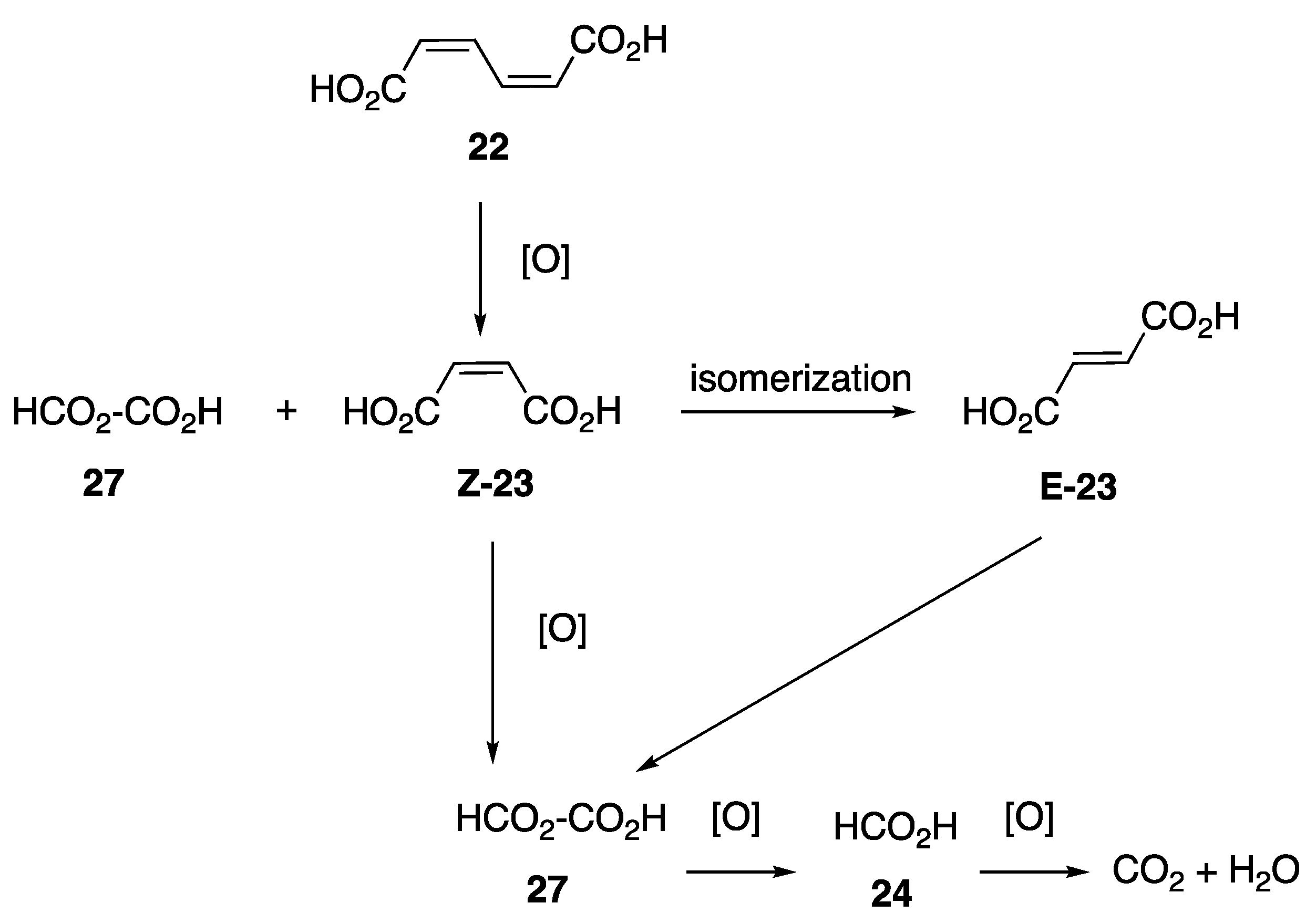 Ijms 26 05192 sch002