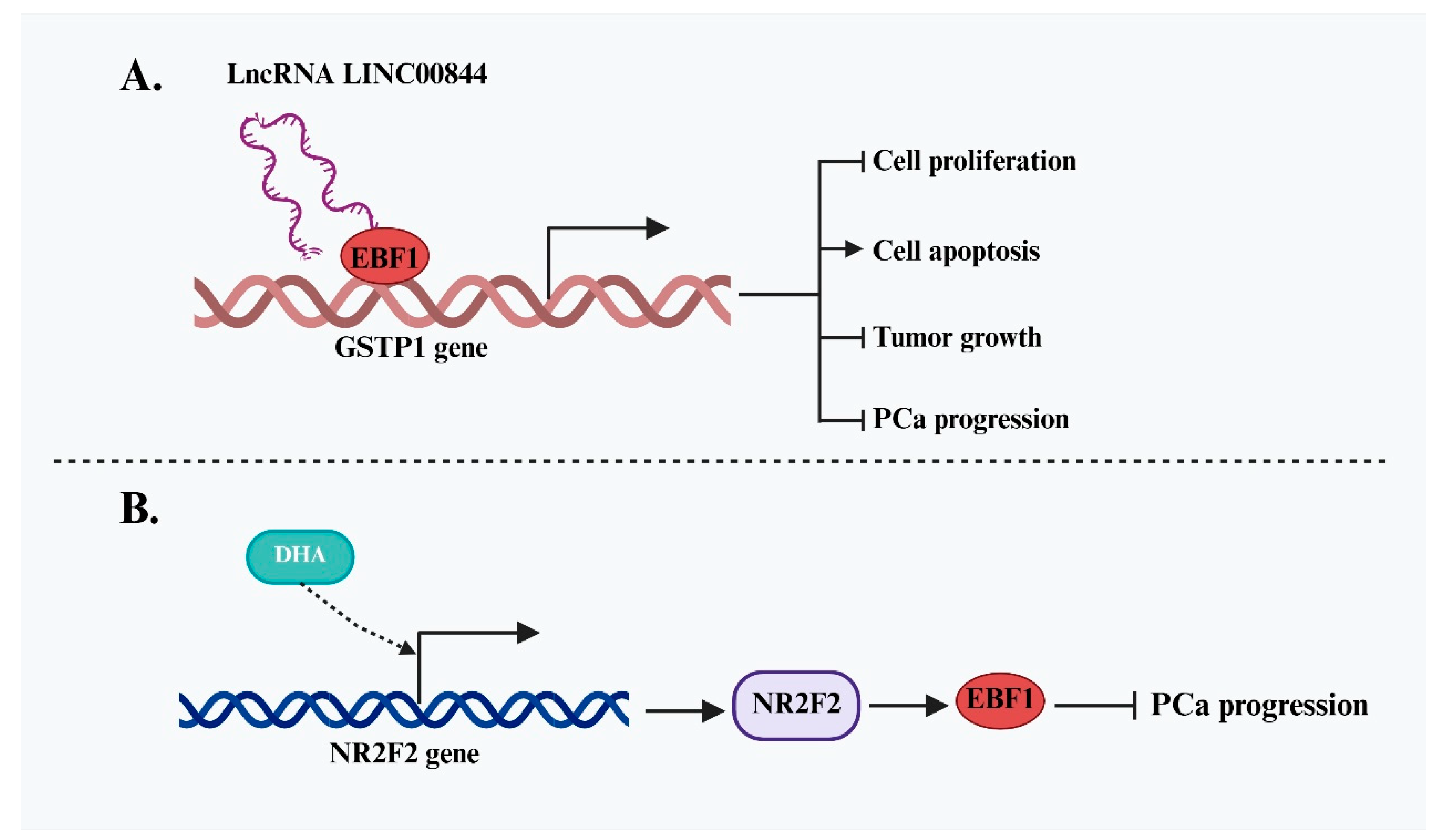 Ijms 26 05203 g005 Ijms 26 05203 g005