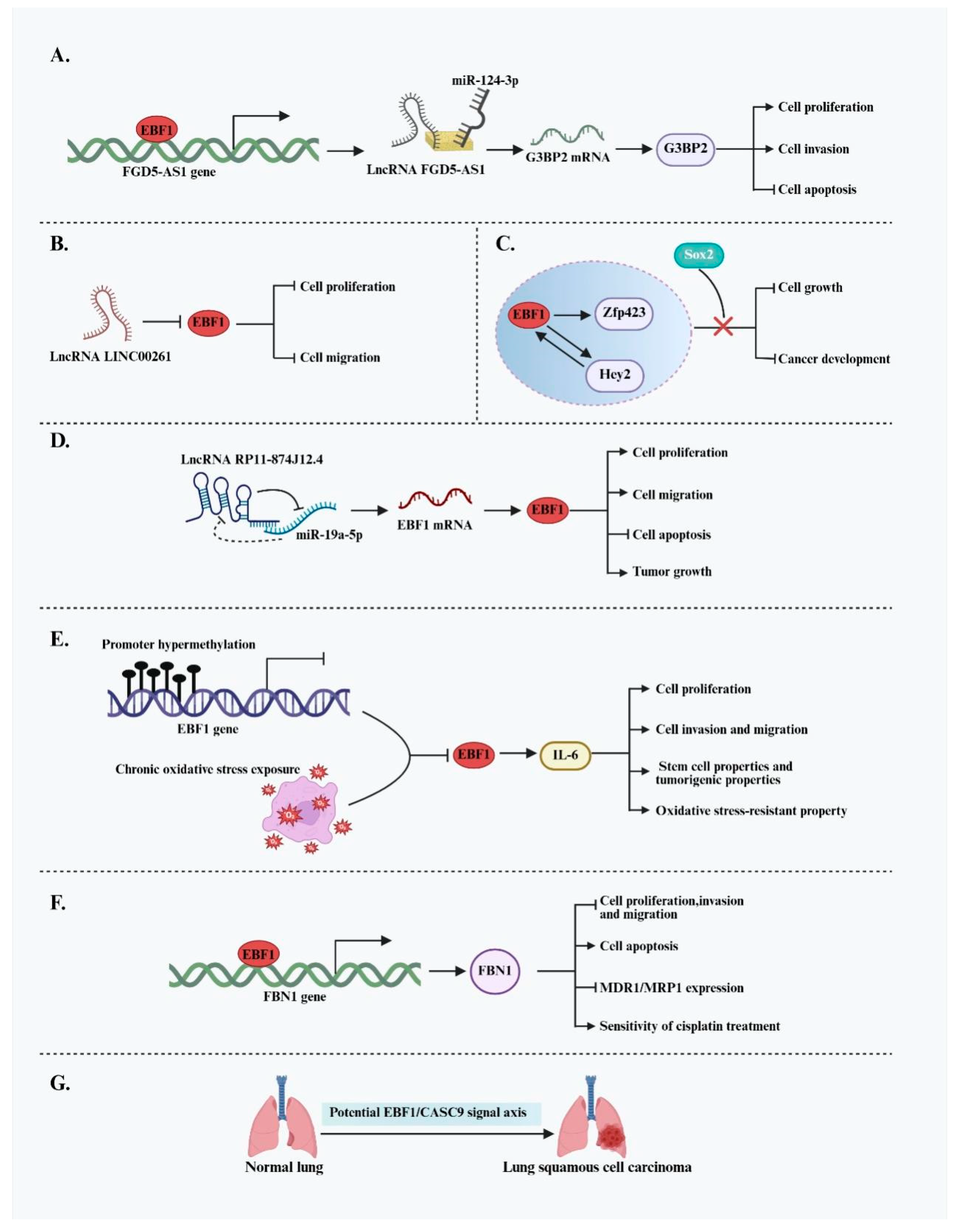 Ijms 26 05203 g006 Ijms 26 05203 g006