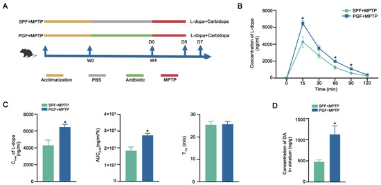 Targeted Gut Microbiota Modulation Enhances Levodopa