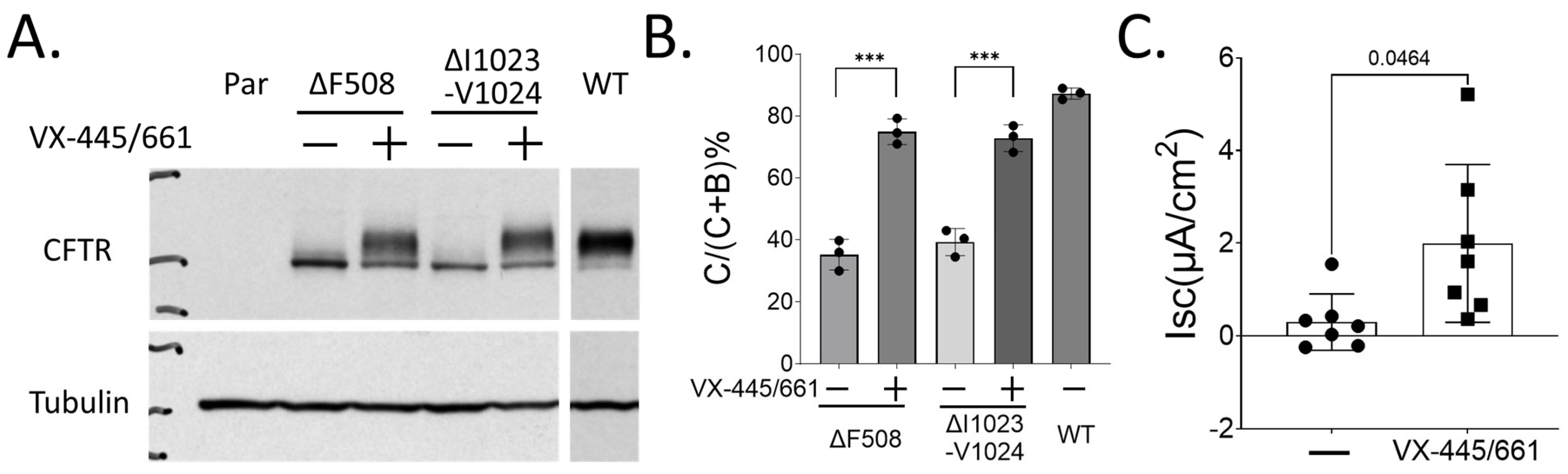 Ijms 26 05306 g002 Ijms 26 05306 g002