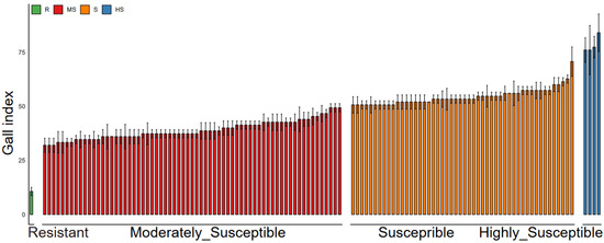 Transcriptome and Co-Expression Network Analyses of