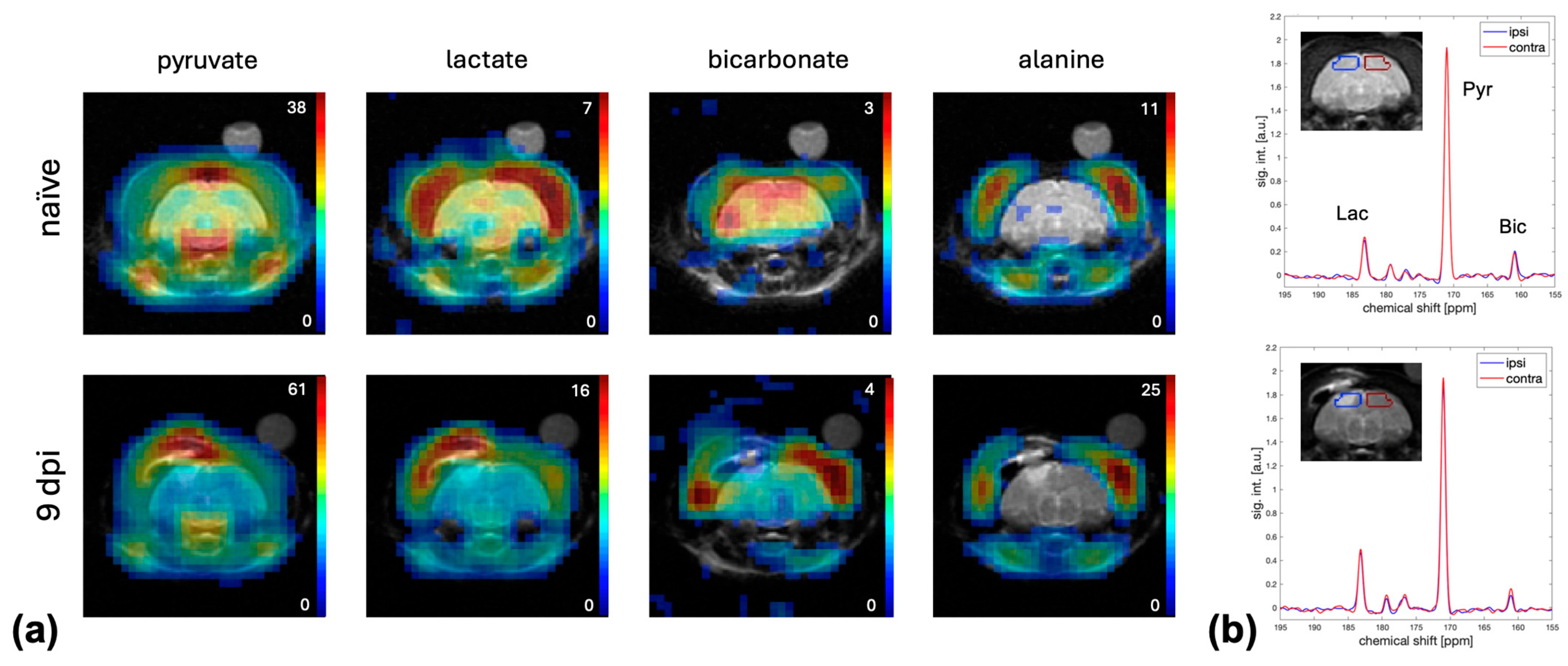 Ijms 26 05327 g002 Ijms 26 05327 g002