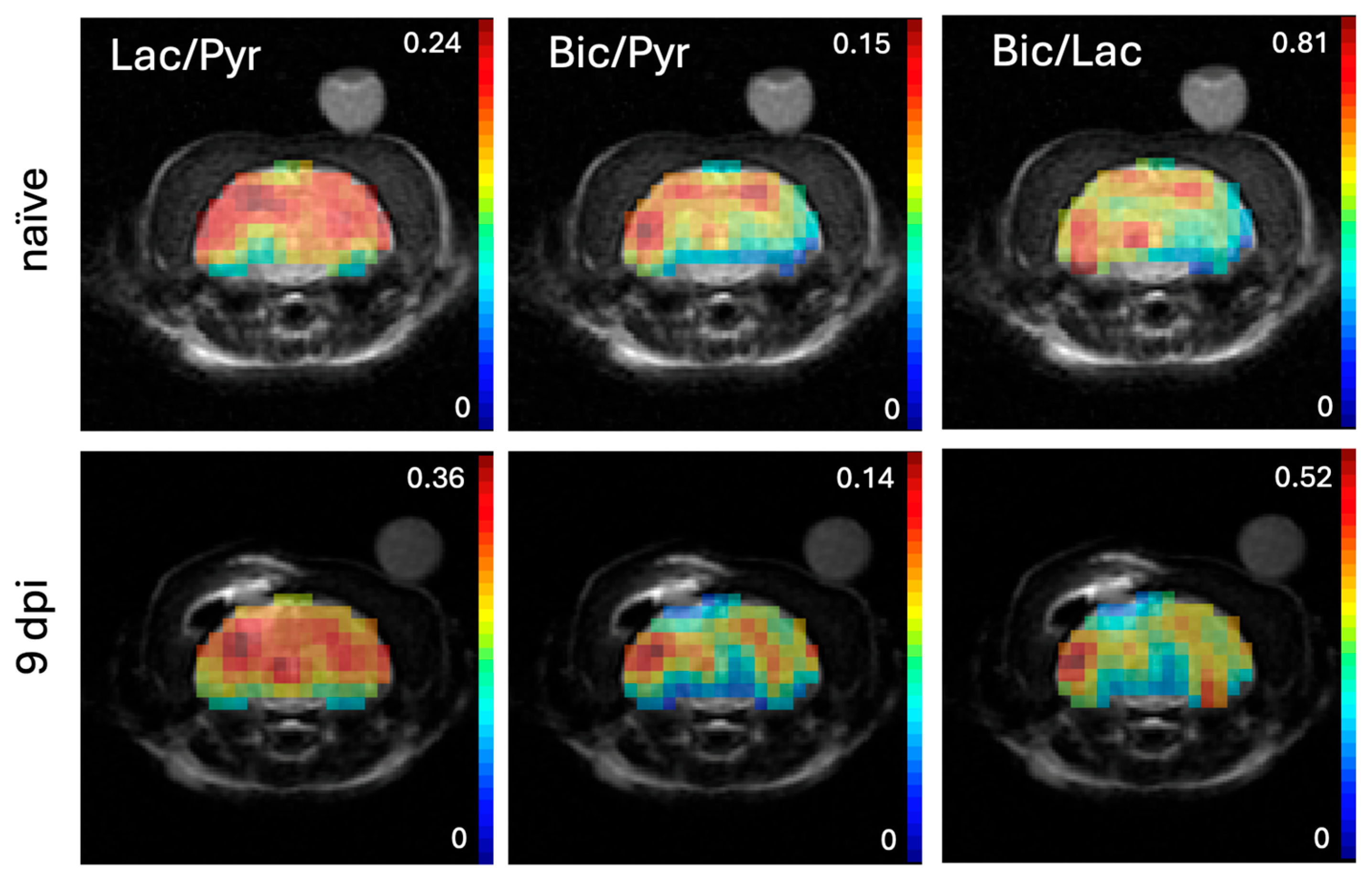 Ijms 26 05327 g003 Ijms 26 05327 g003