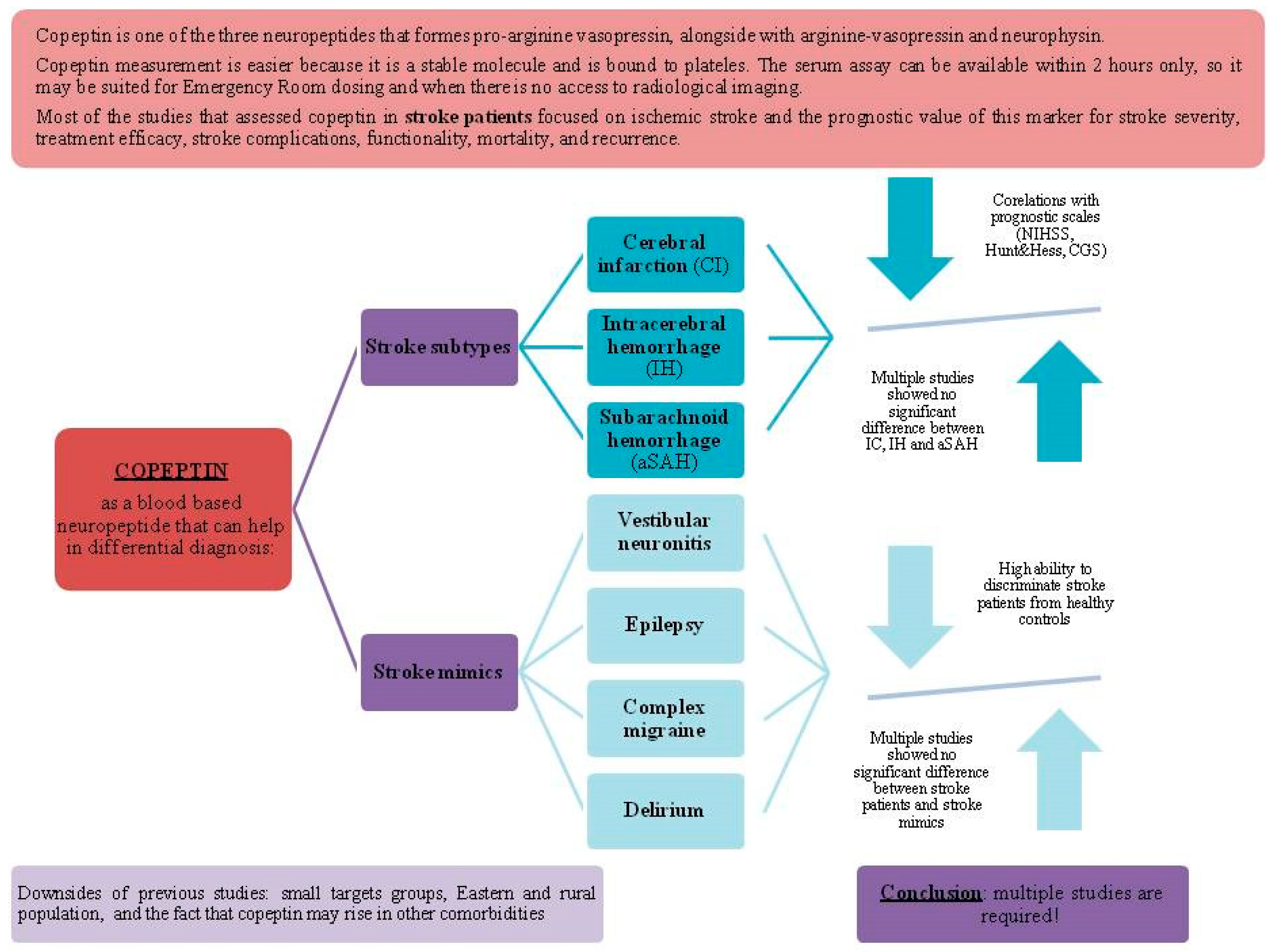 Ijms 26 05328 g003 Ijms 26 05328 g003