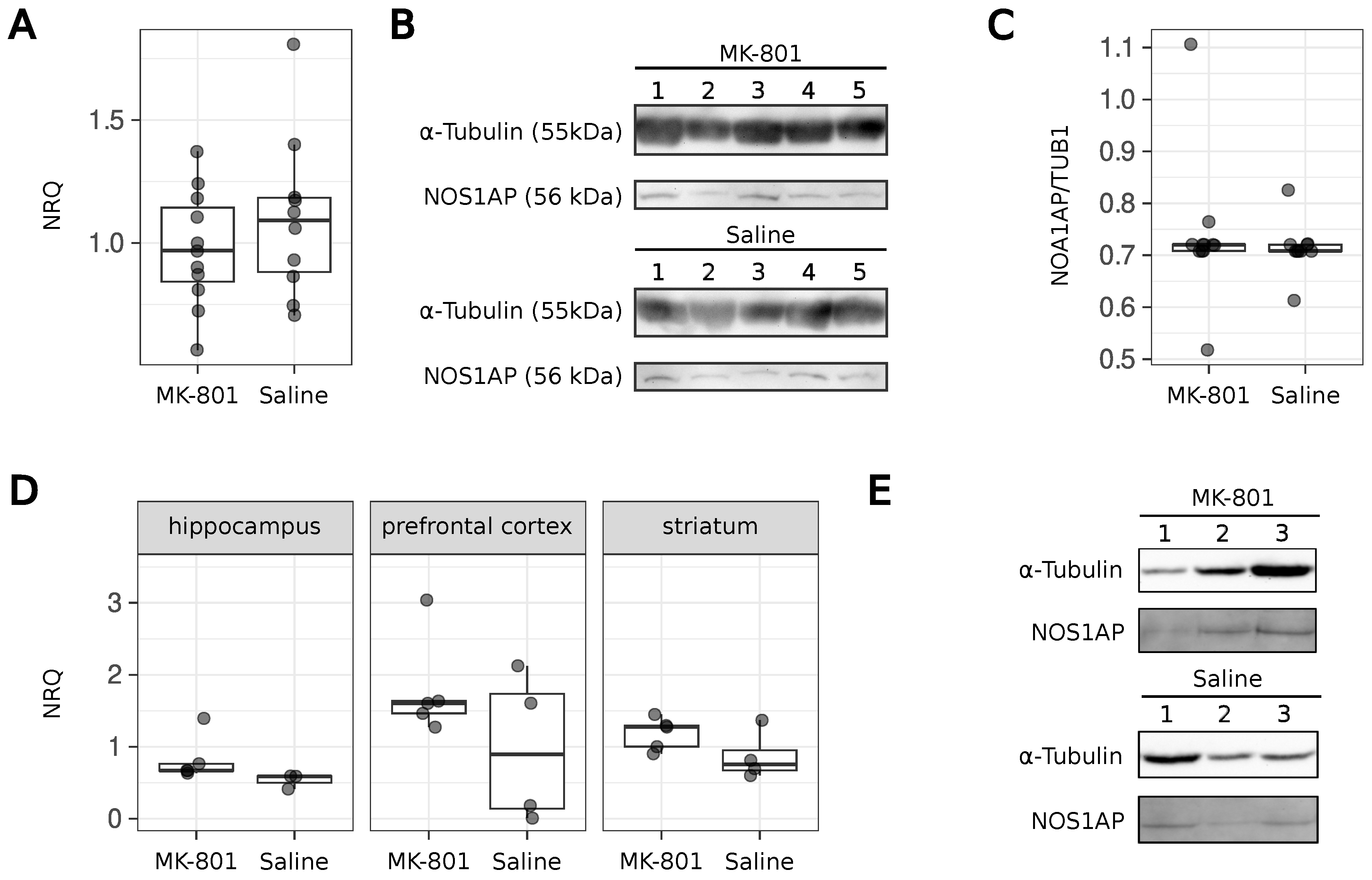 Ijms 26 05329 g002 Ijms 26 05329 g002