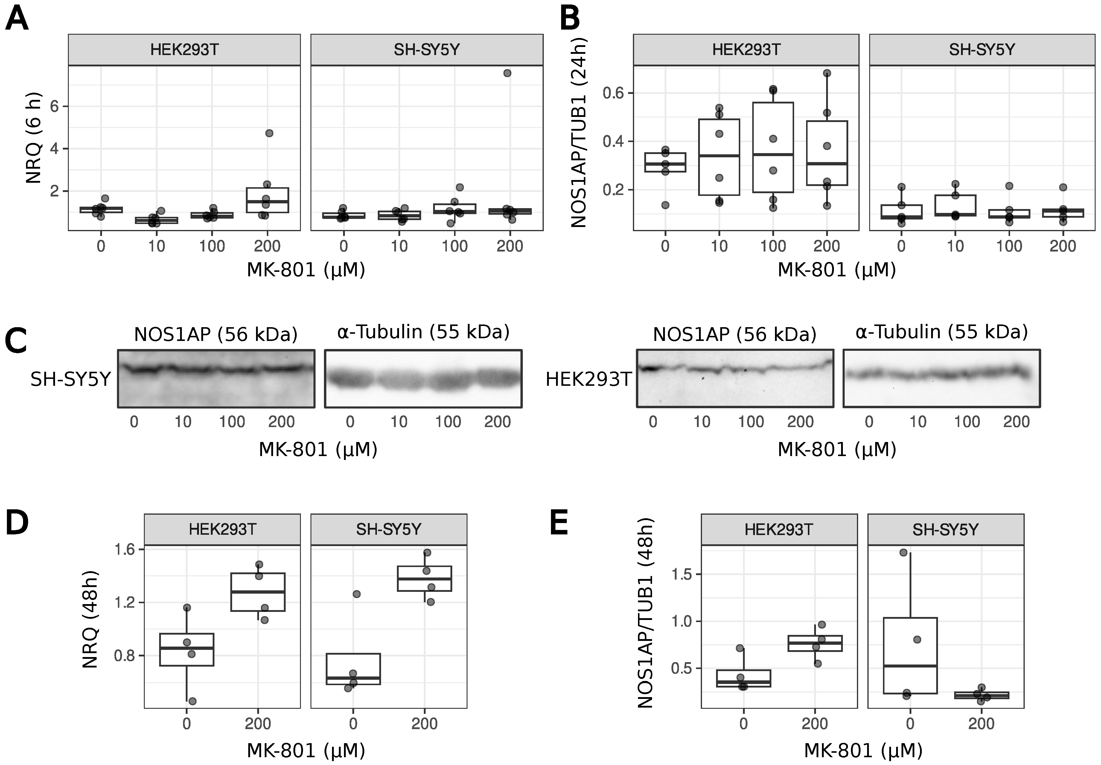 Ijms 26 05329 g003 Ijms 26 05329 g003