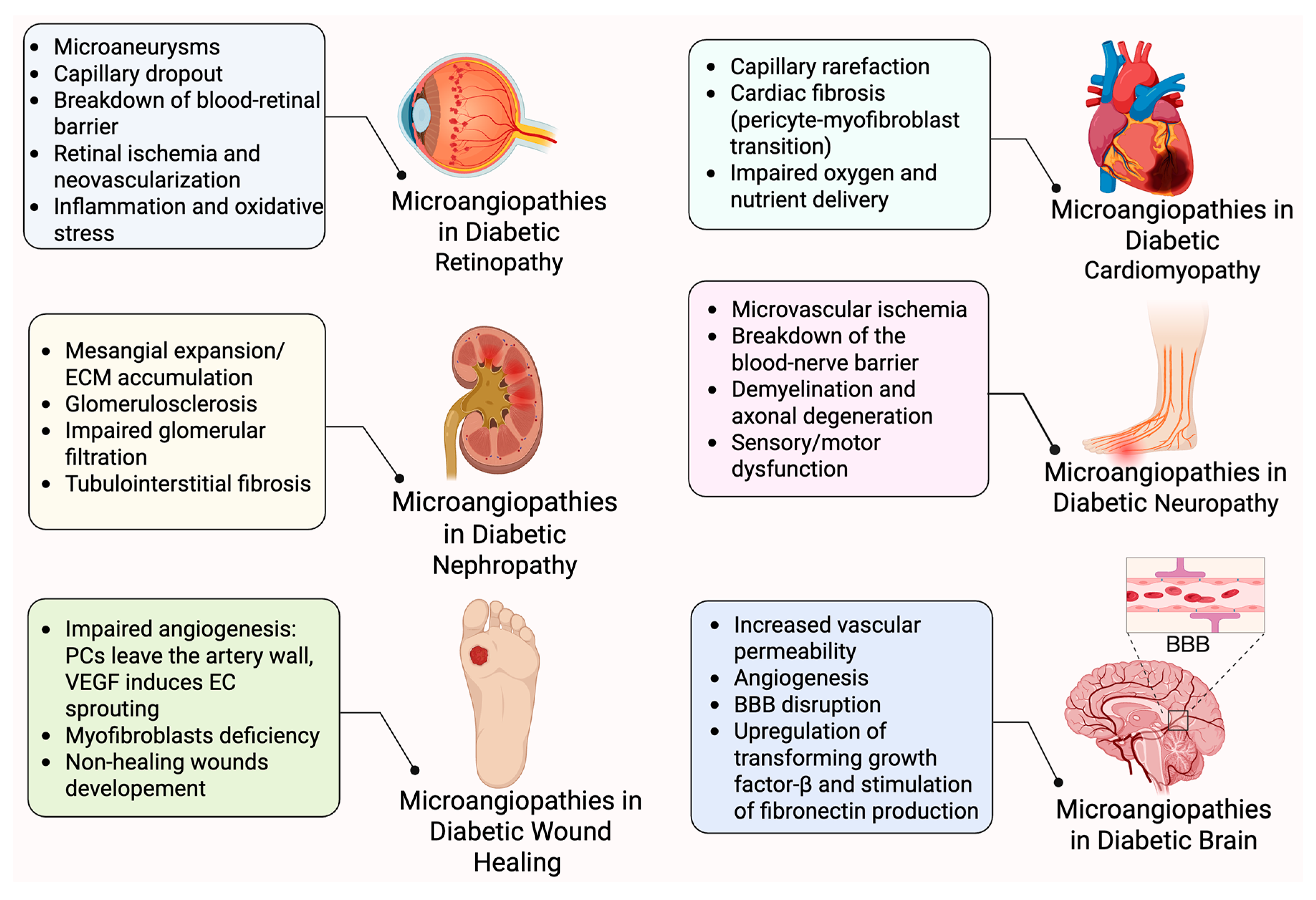 Ijms 26 05333 g003 Ijms 26 05333 g003