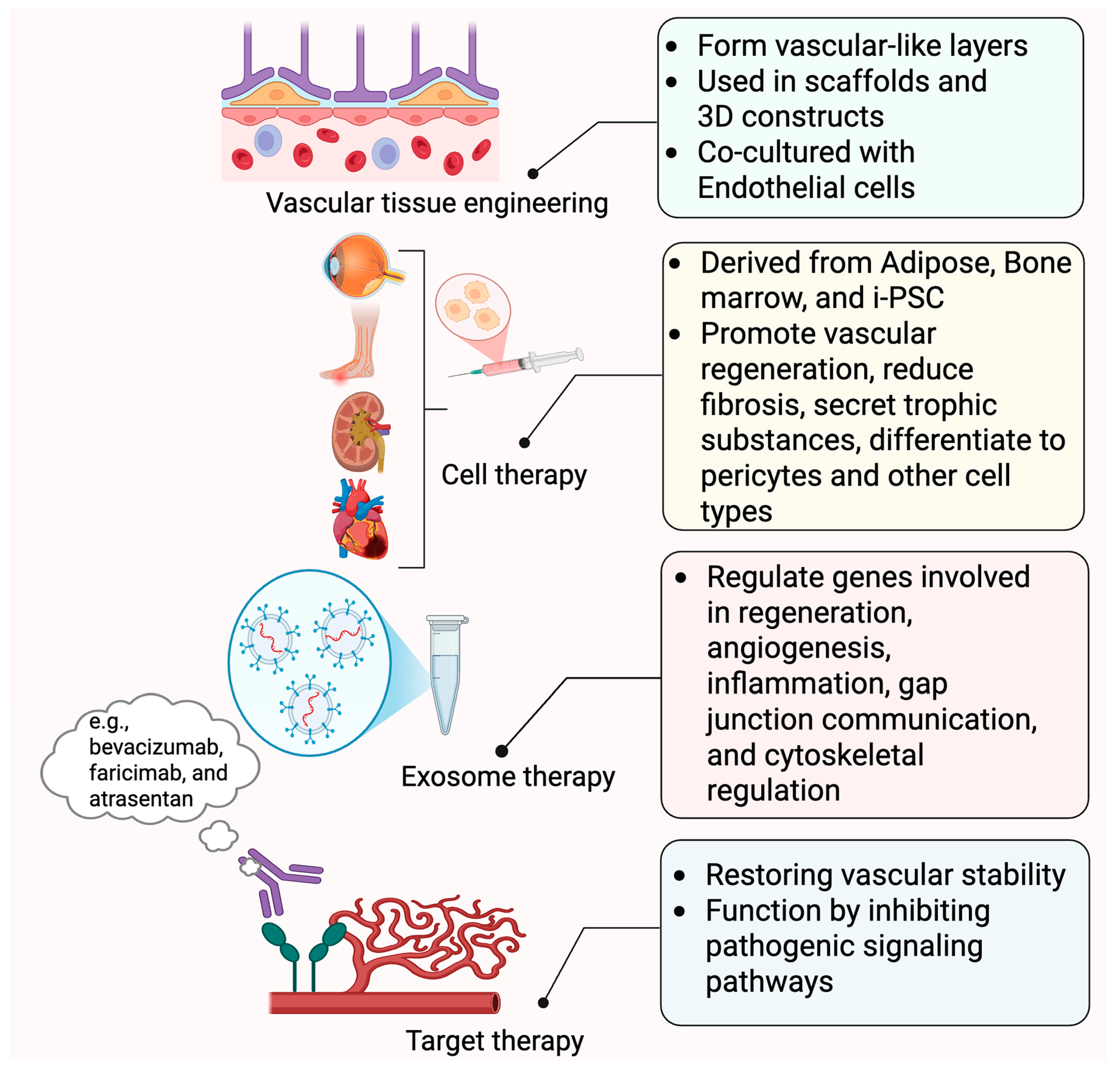 Ijms 26 05333 g004 Ijms 26 05333 g004