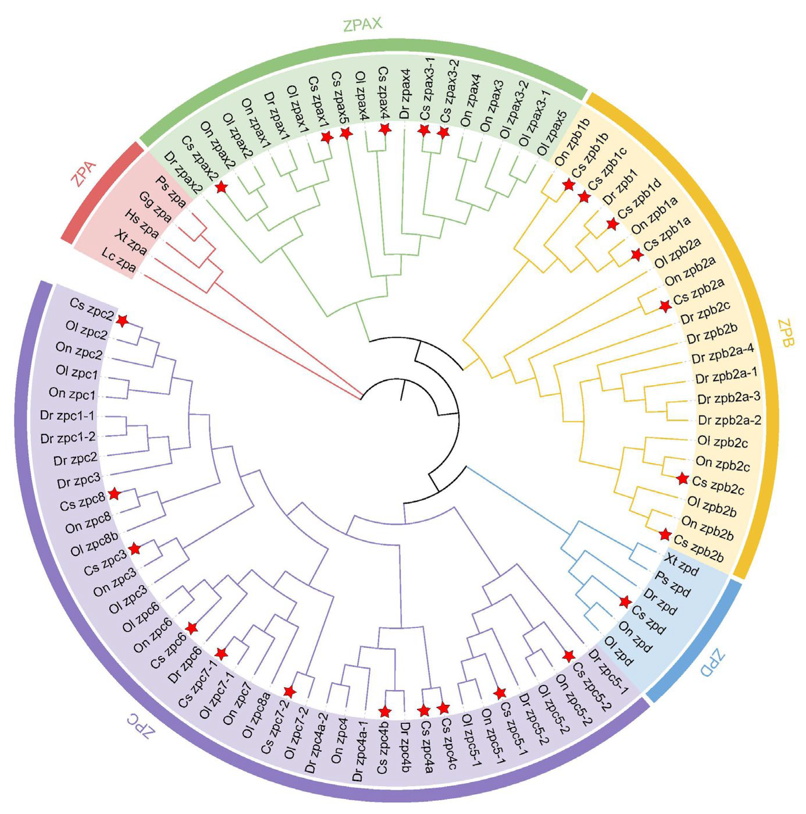 Ijms 26 05346 g001 Ijms 26 05346 g001