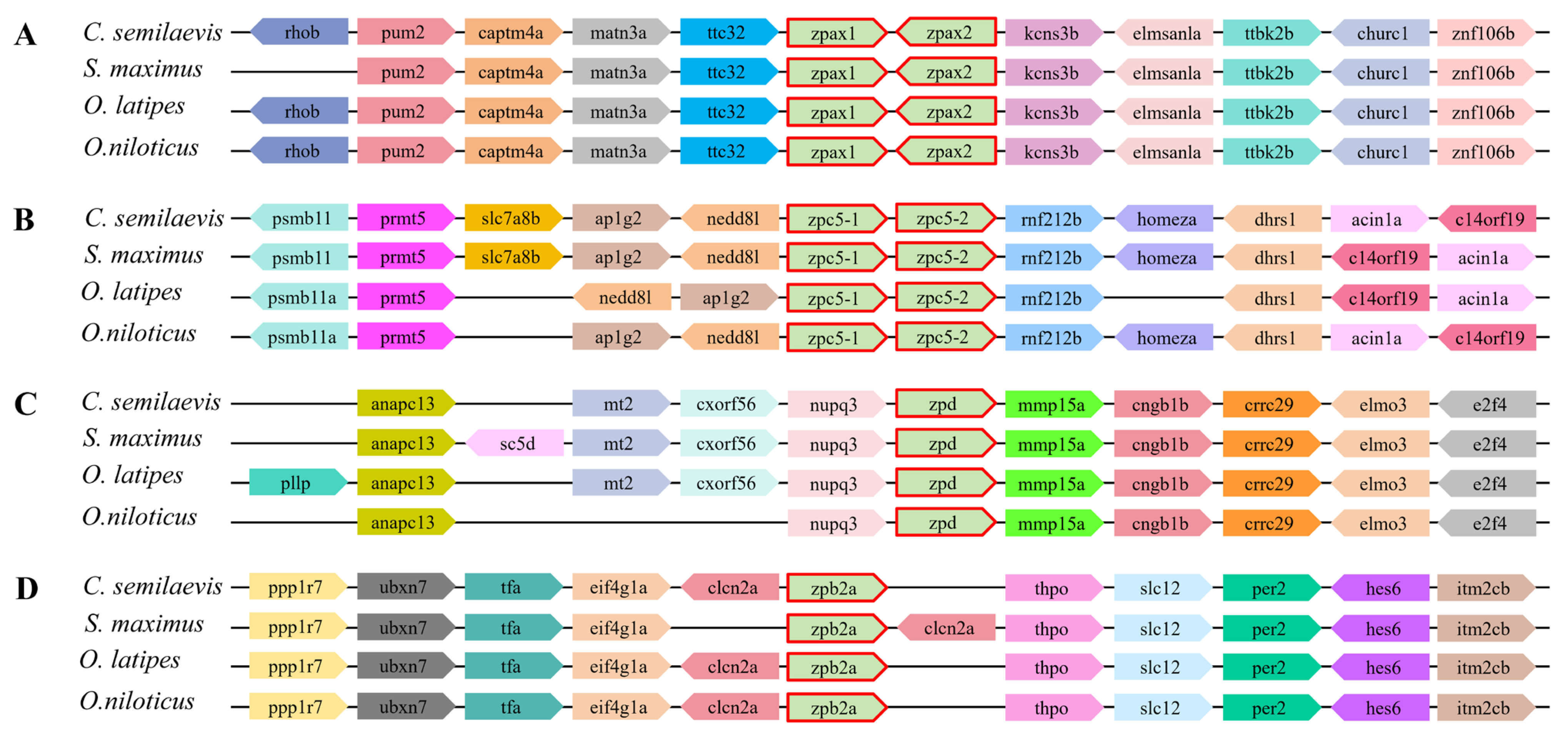 Ijms 26 05346 g003 Ijms 26 05346 g003