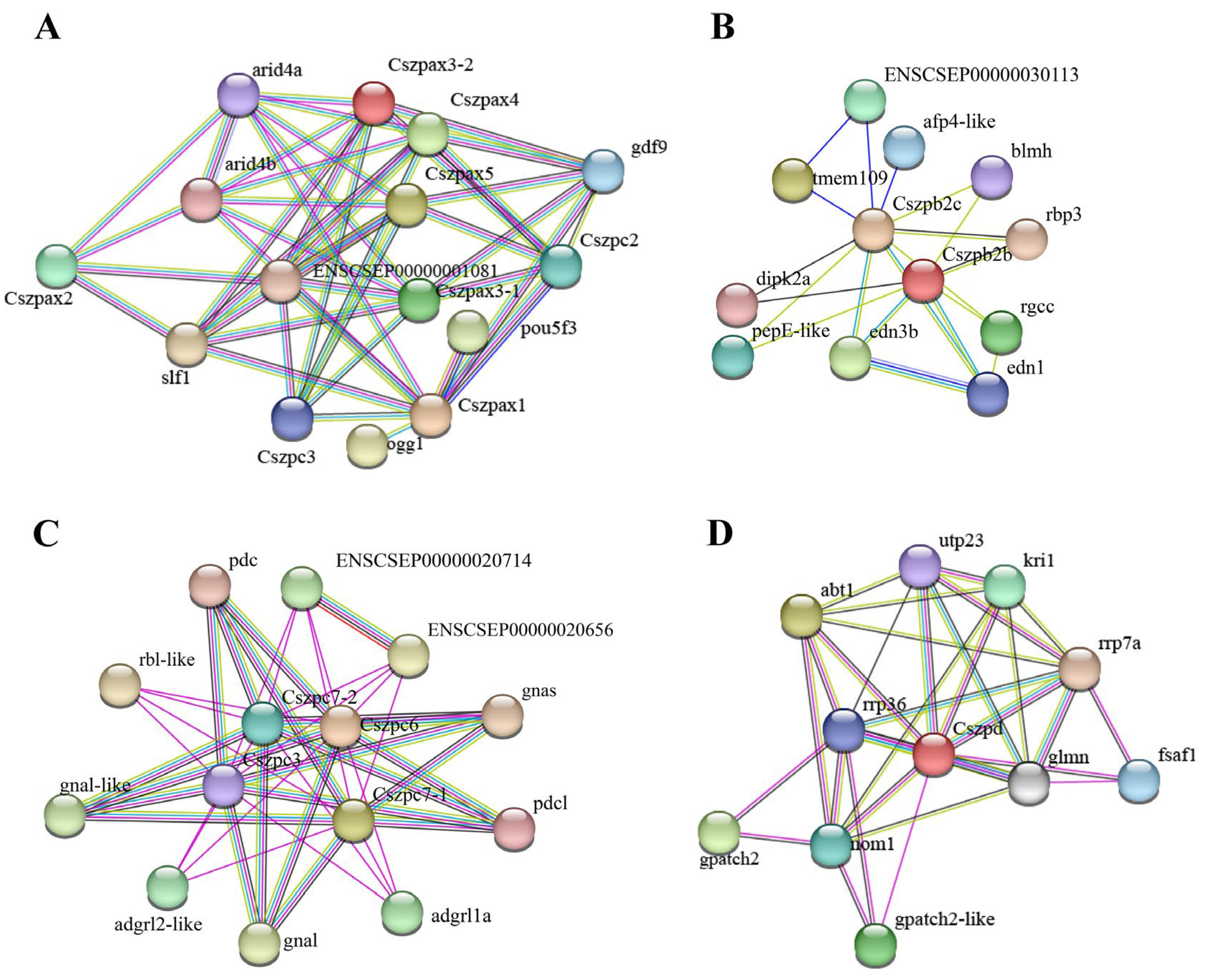 Ijms 26 05346 g004 Ijms 26 05346 g004