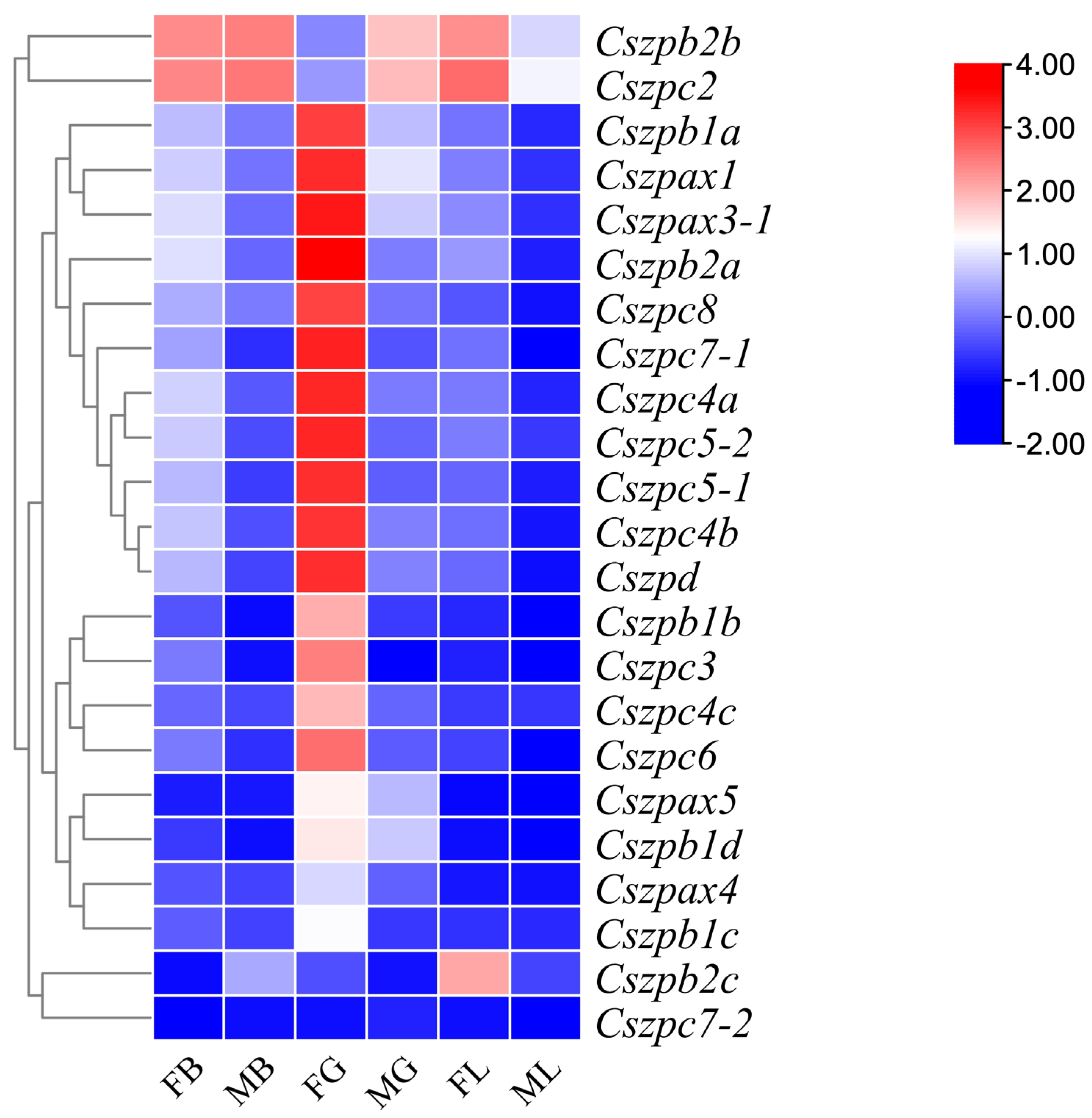 Ijms 26 05346 g005 Ijms 26 05346 g005