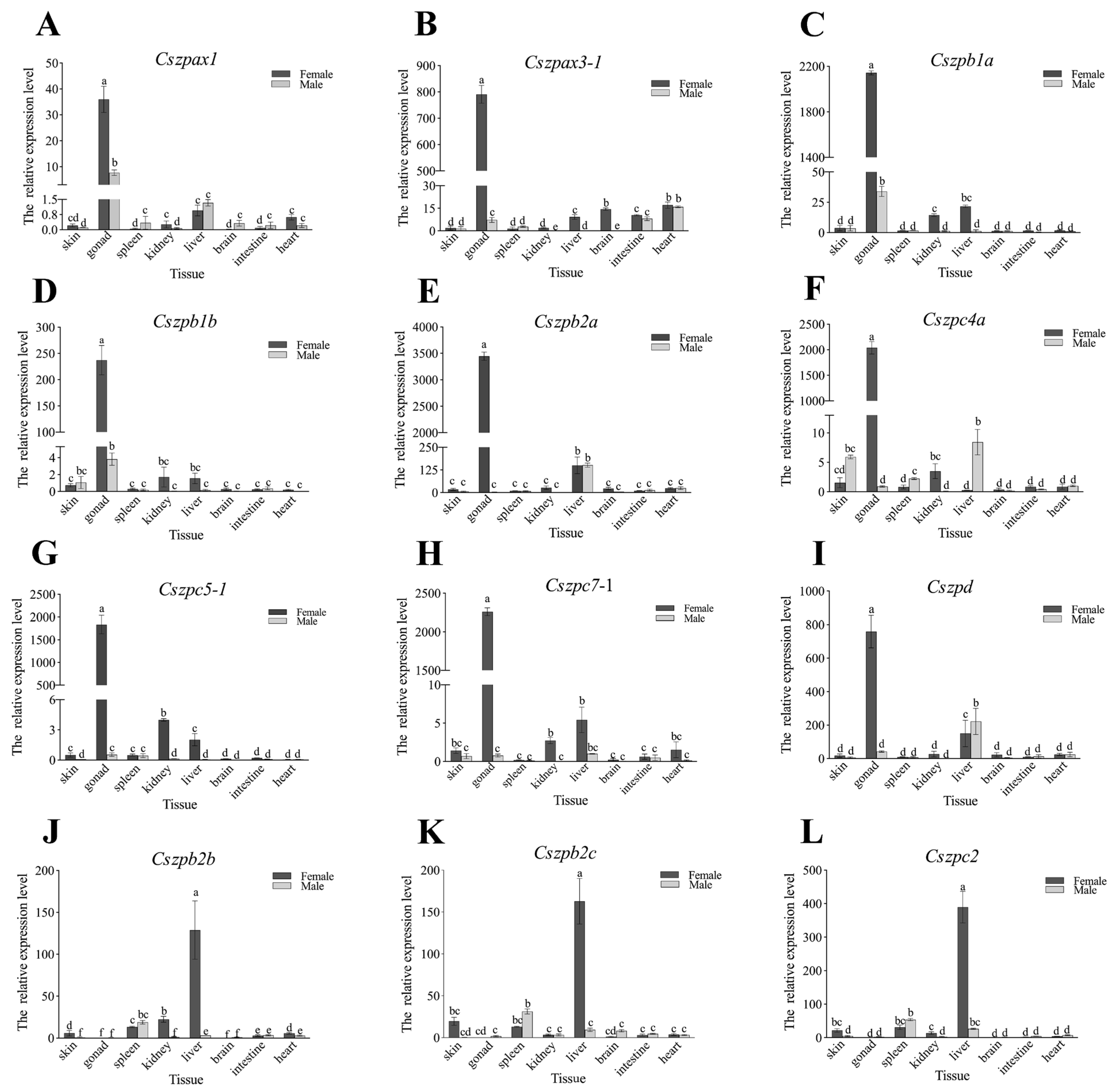 Ijms 26 05346 g006 Ijms 26 05346 g006