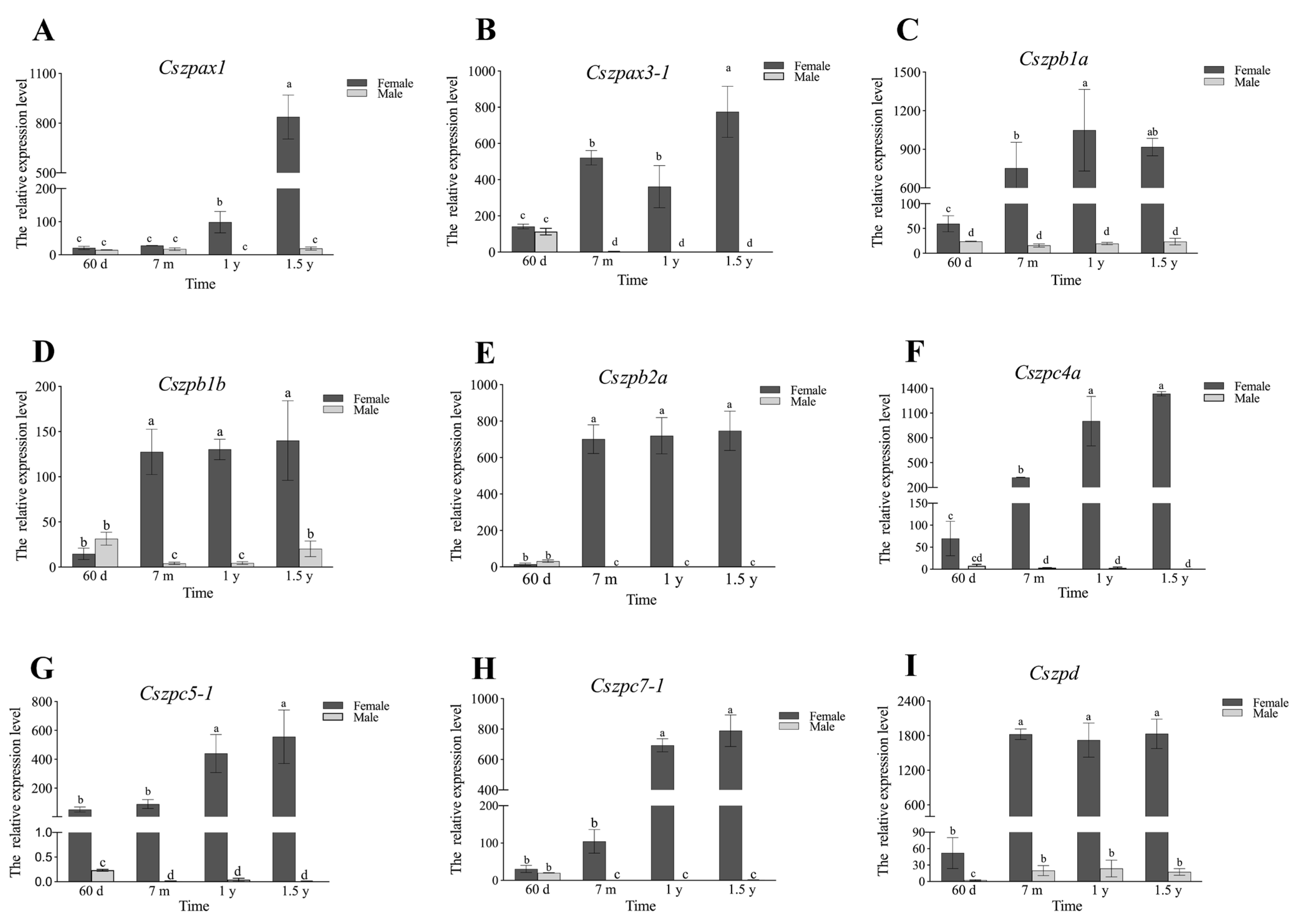 Ijms 26 05346 g007 Ijms 26 05346 g007