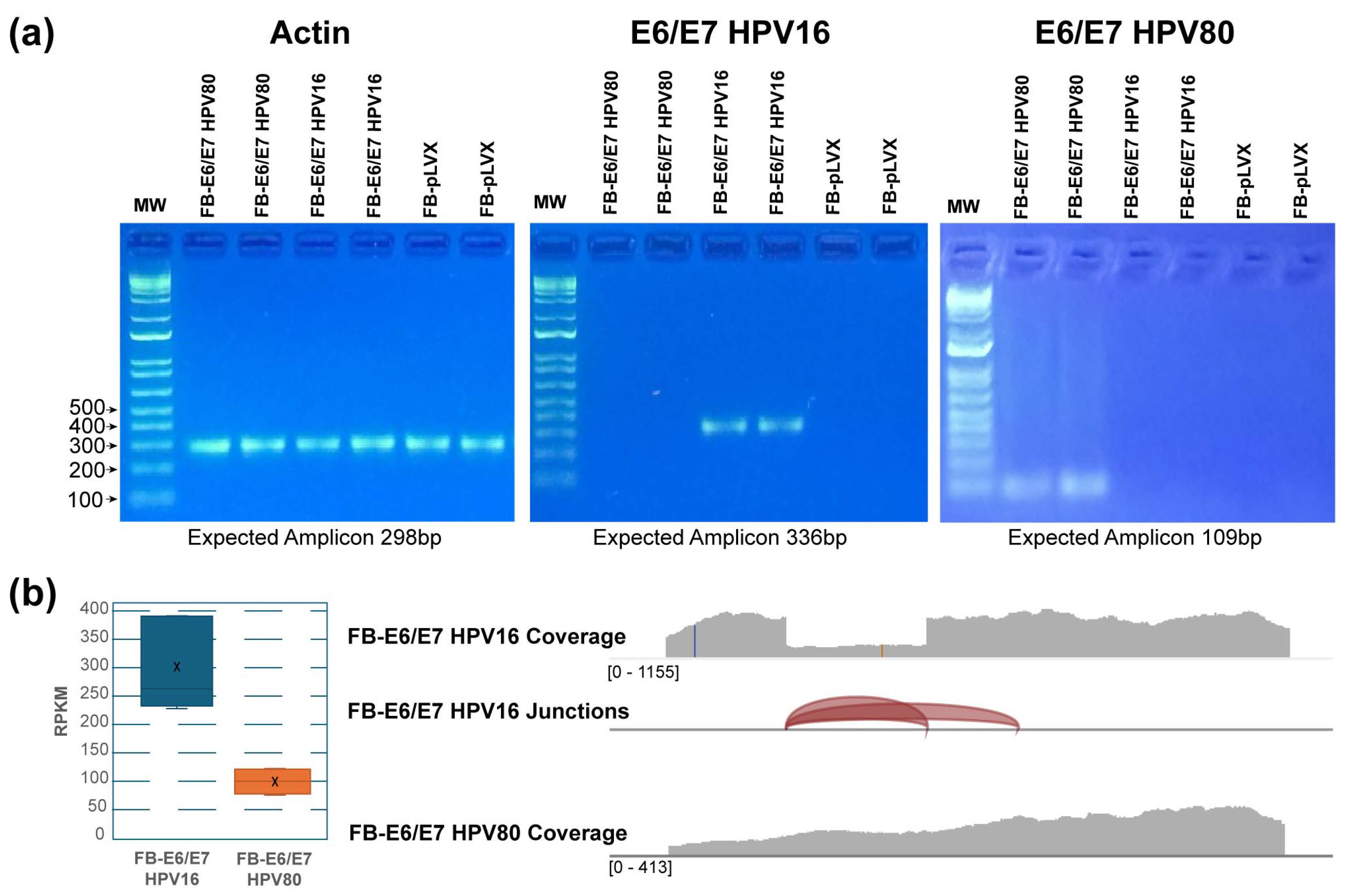 Ijms 26 05347 g001 Ijms 26 05347 g001