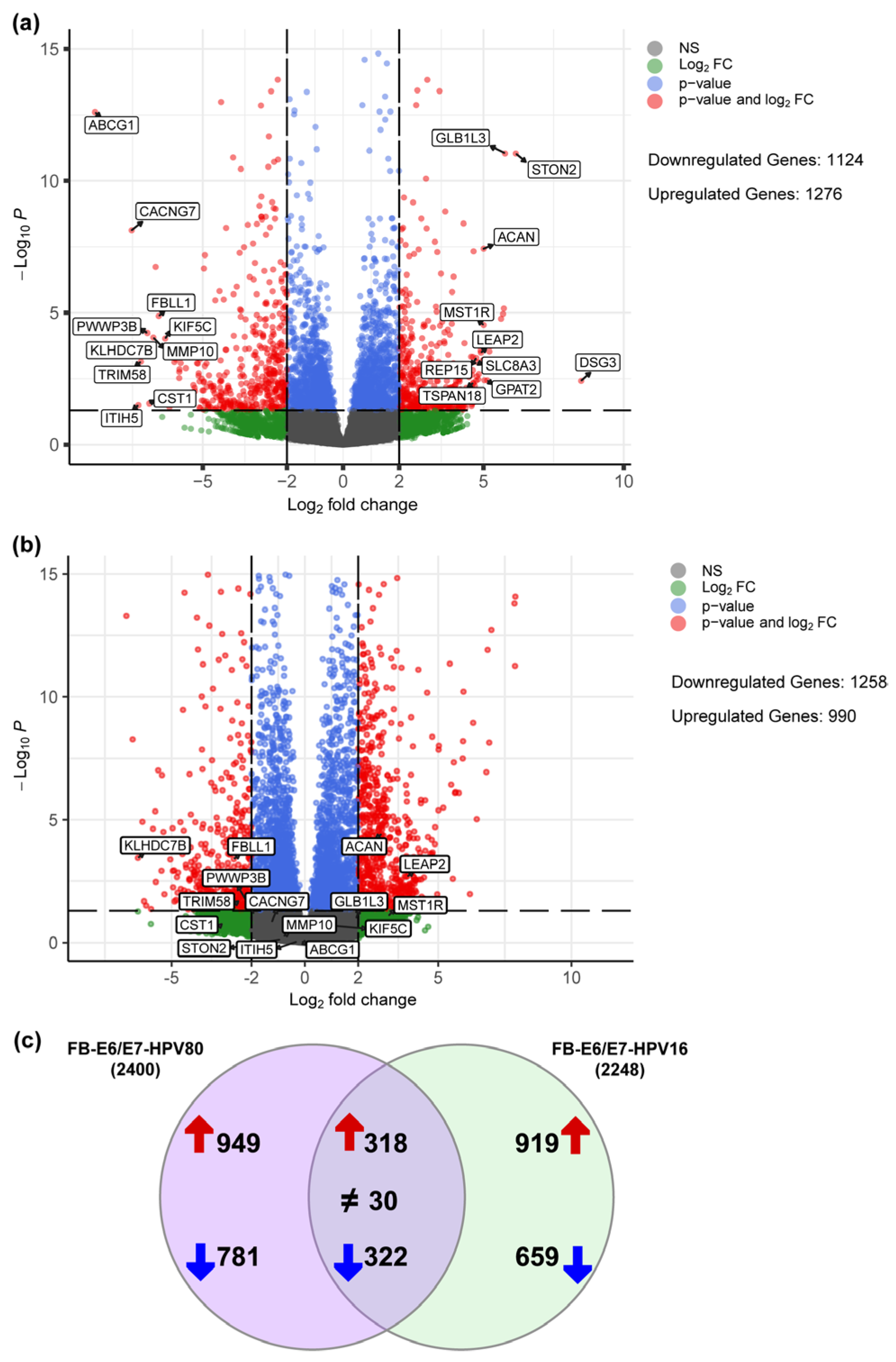 Ijms 26 05347 g005 Ijms 26 05347 g005