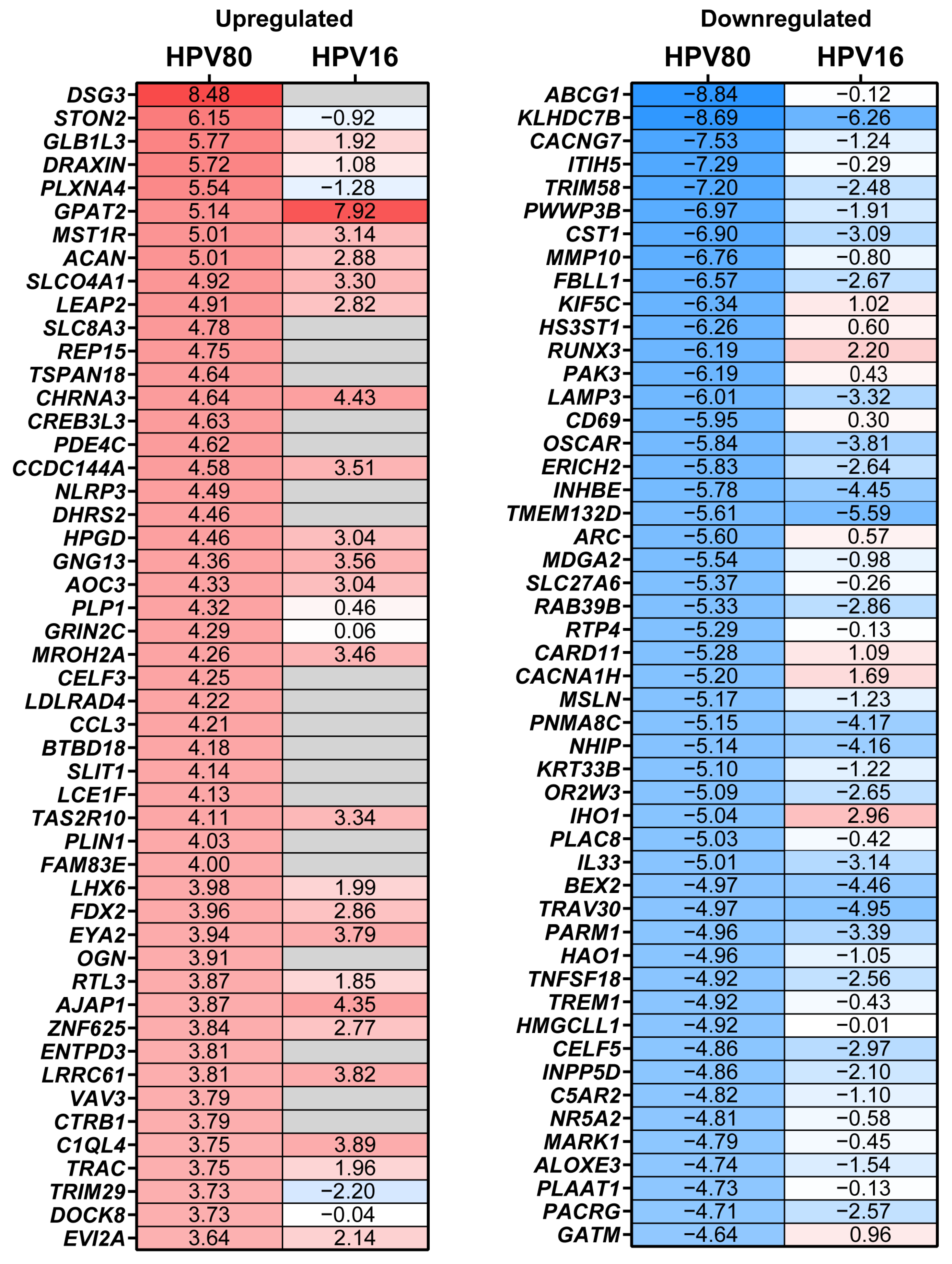 Ijms 26 05347 g006 Ijms 26 05347 g006