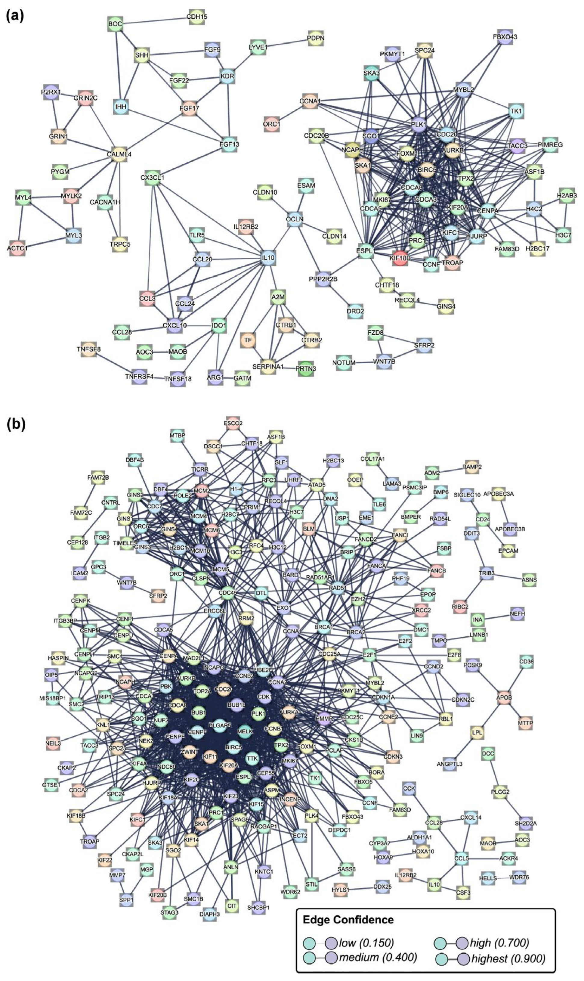 Ijms 26 05347 g010 Ijms 26 05347 g010