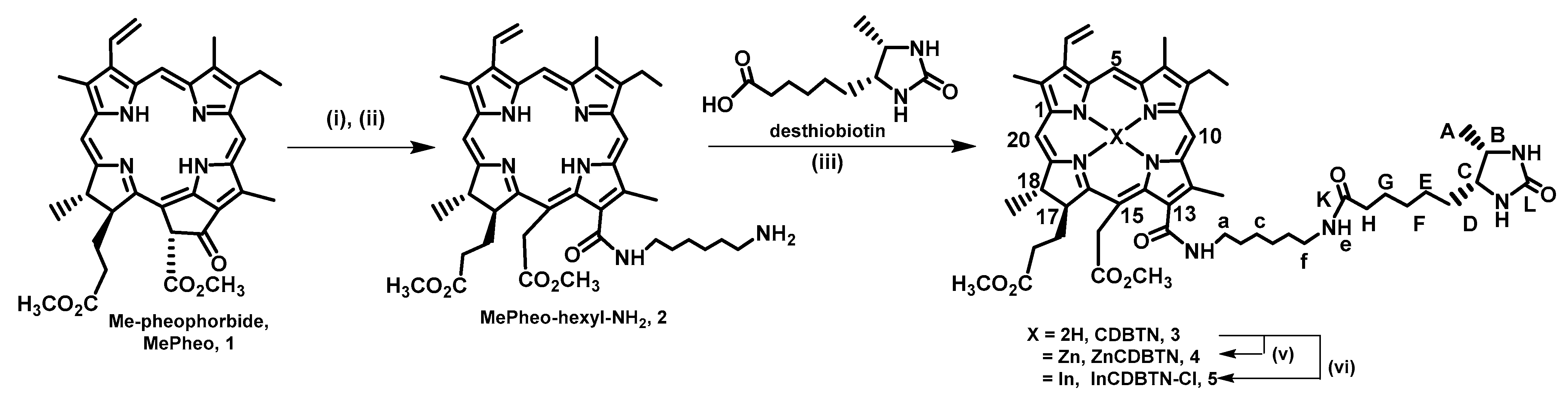 Ijms 26 05357 sch001