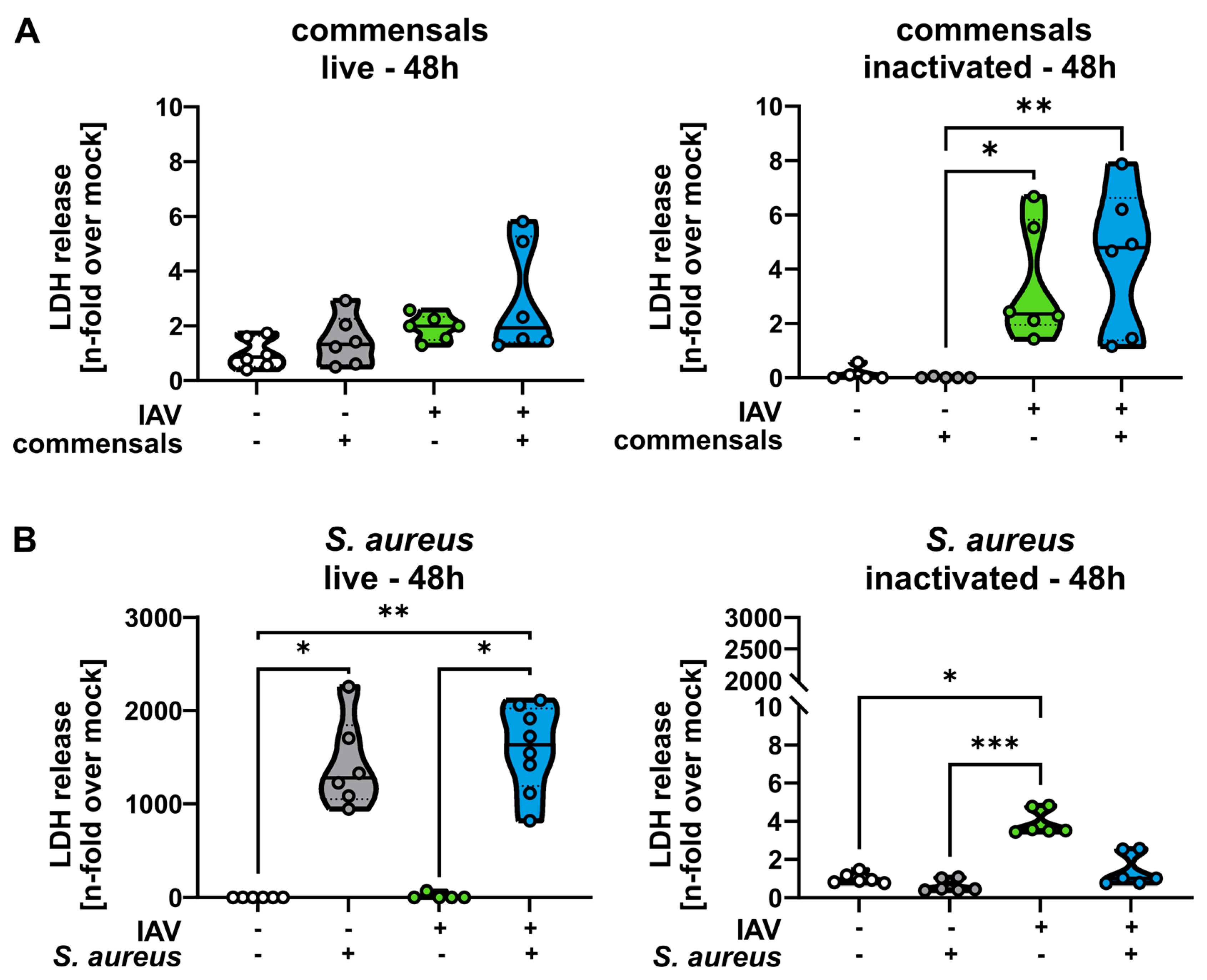 Ijms 26 05364 g003 Ijms 26 05364 g003