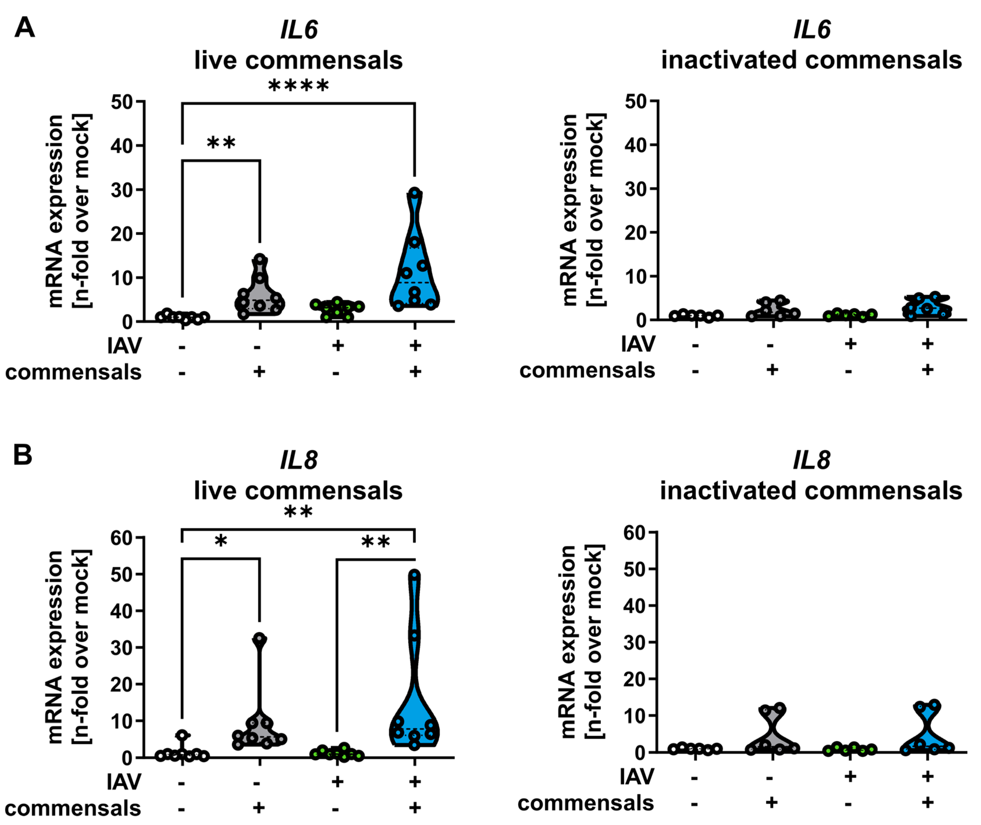 Ijms 26 05364 g004 Ijms 26 05364 g004