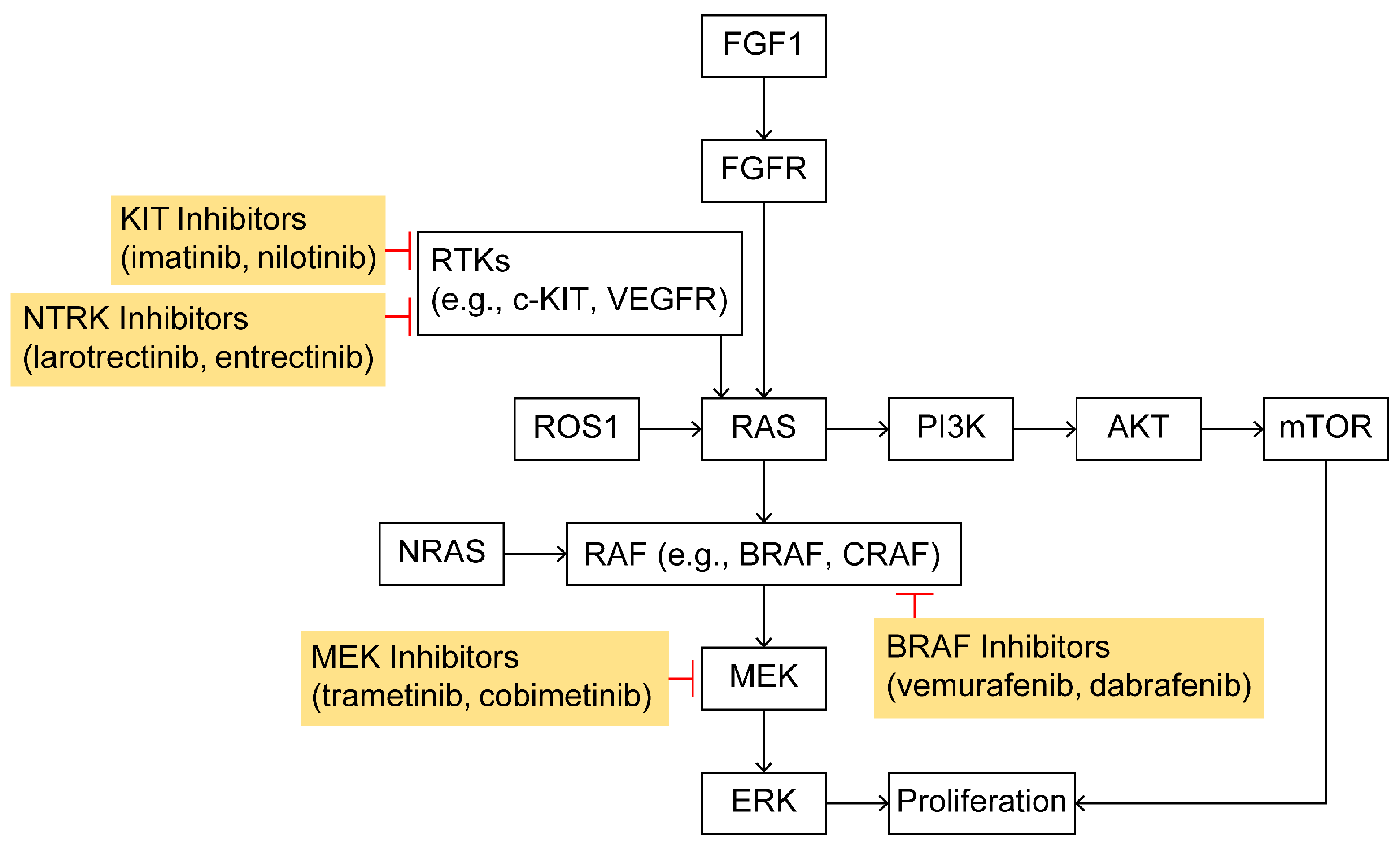 Ijms 26 05370 g002 Ijms 26 05370 g002