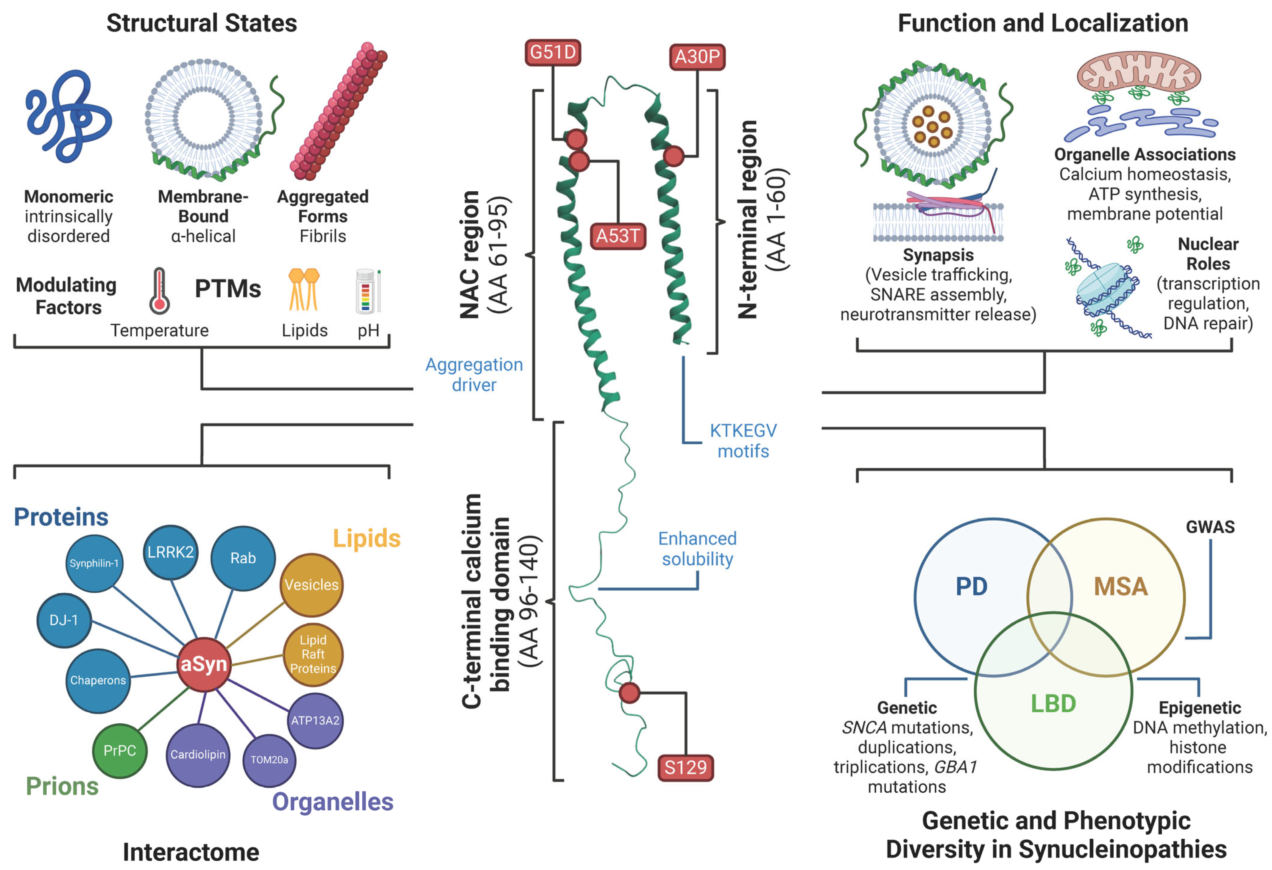 Ijms 26 05405 g001 Ijms 26 05405 g001