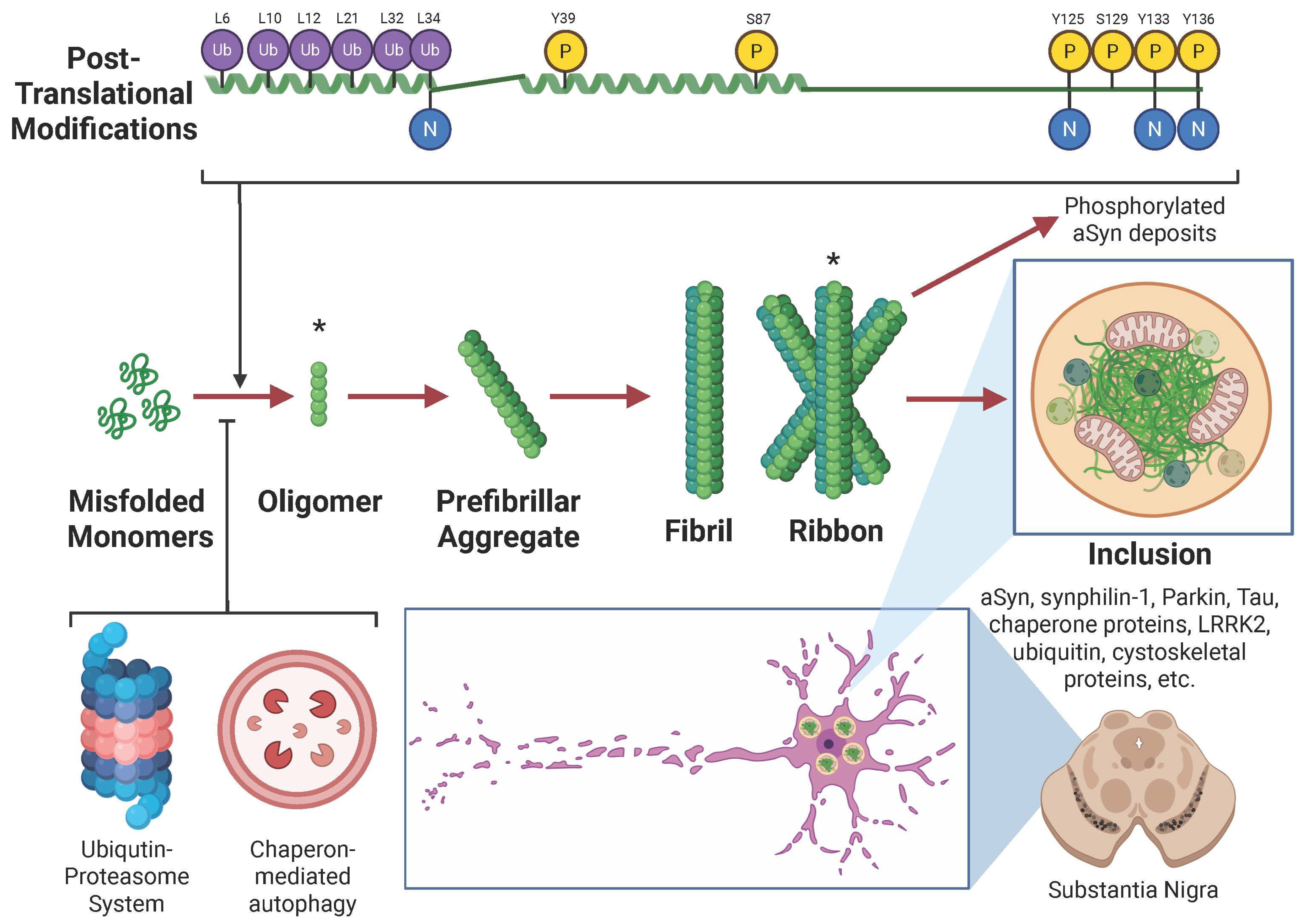 Ijms 26 05405 g002 Ijms 26 05405 g002