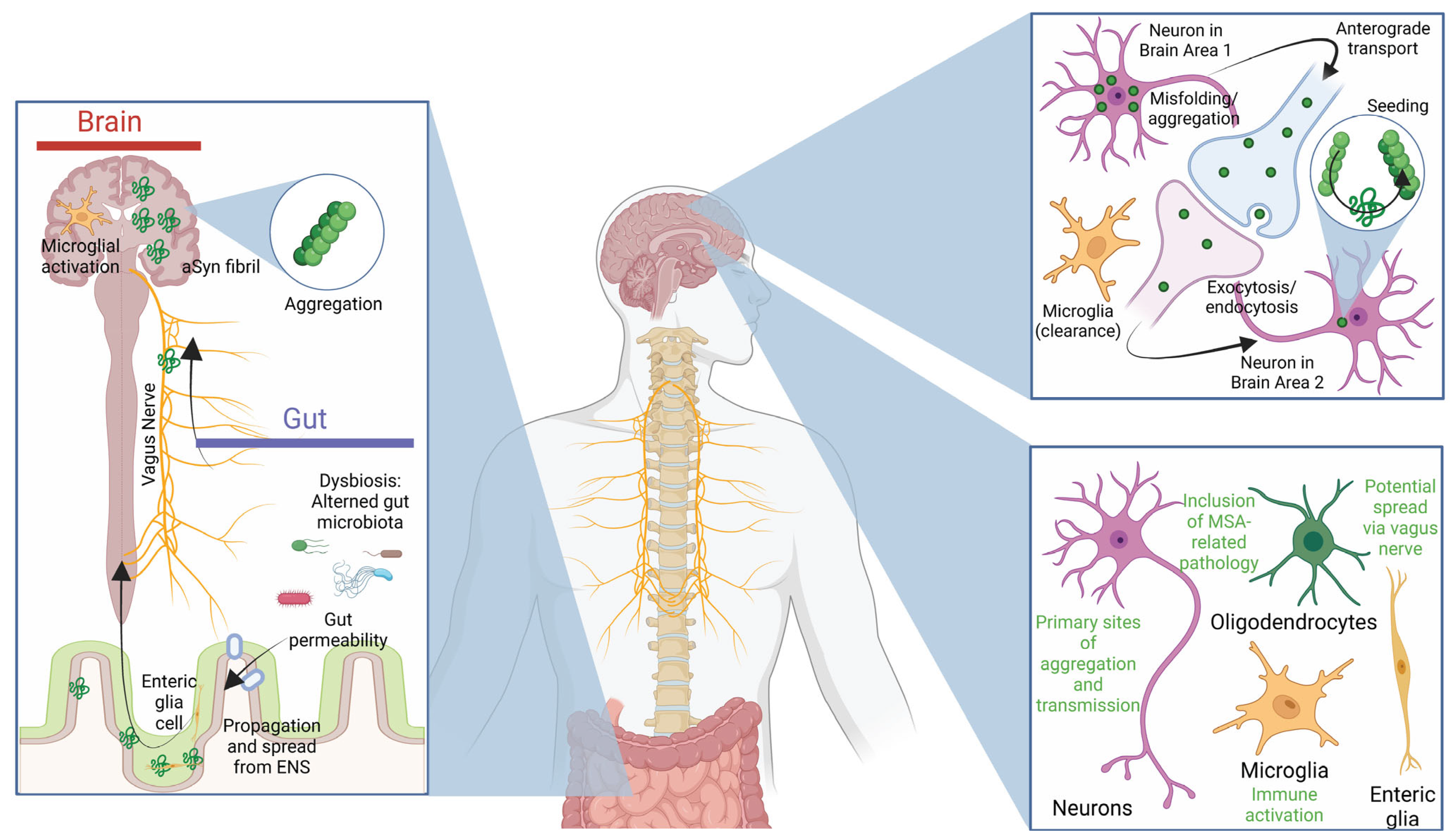 Ijms 26 05405 g003 Ijms 26 05405 g003