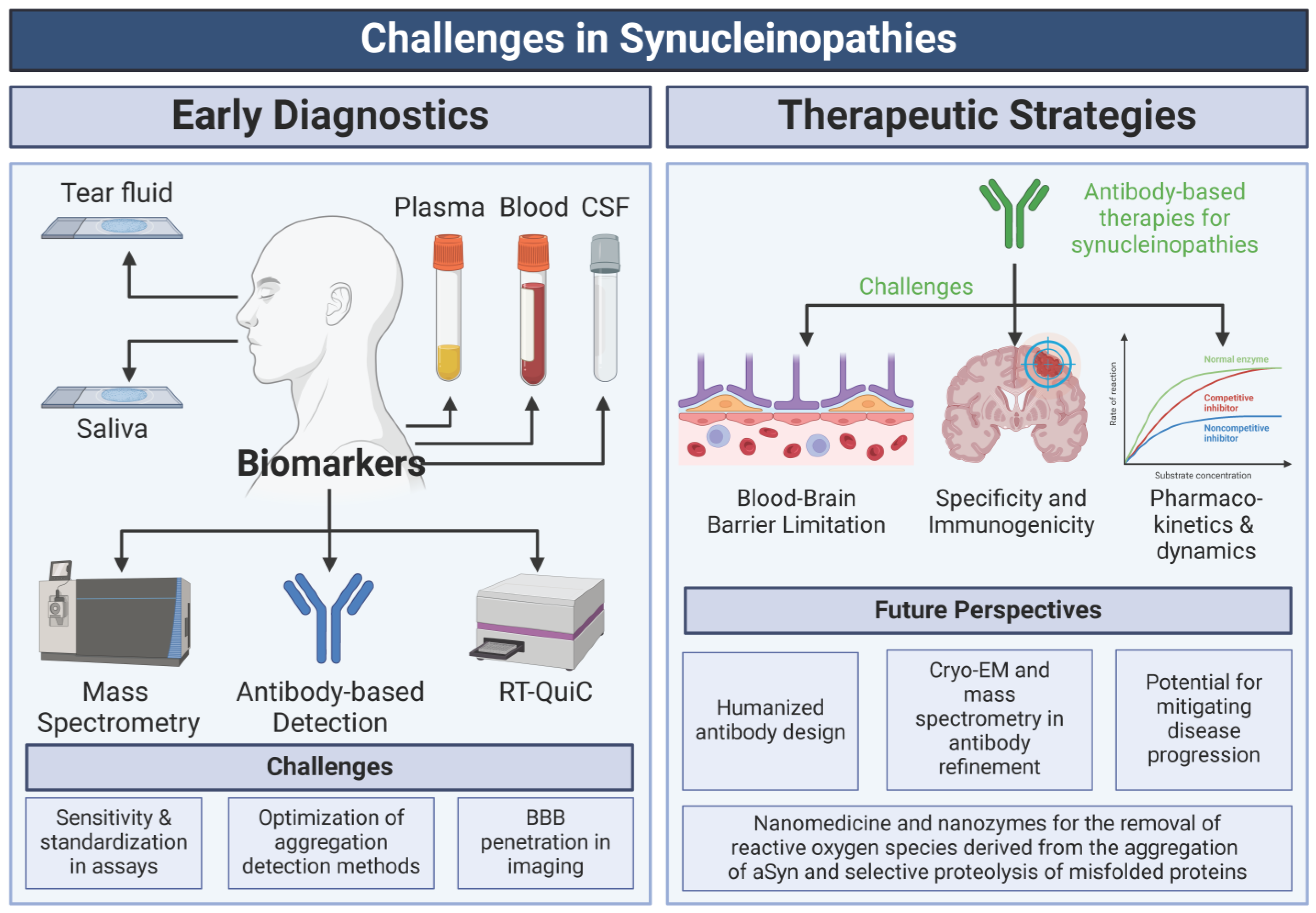 Ijms 26 05405 g004 Ijms 26 05405 g004