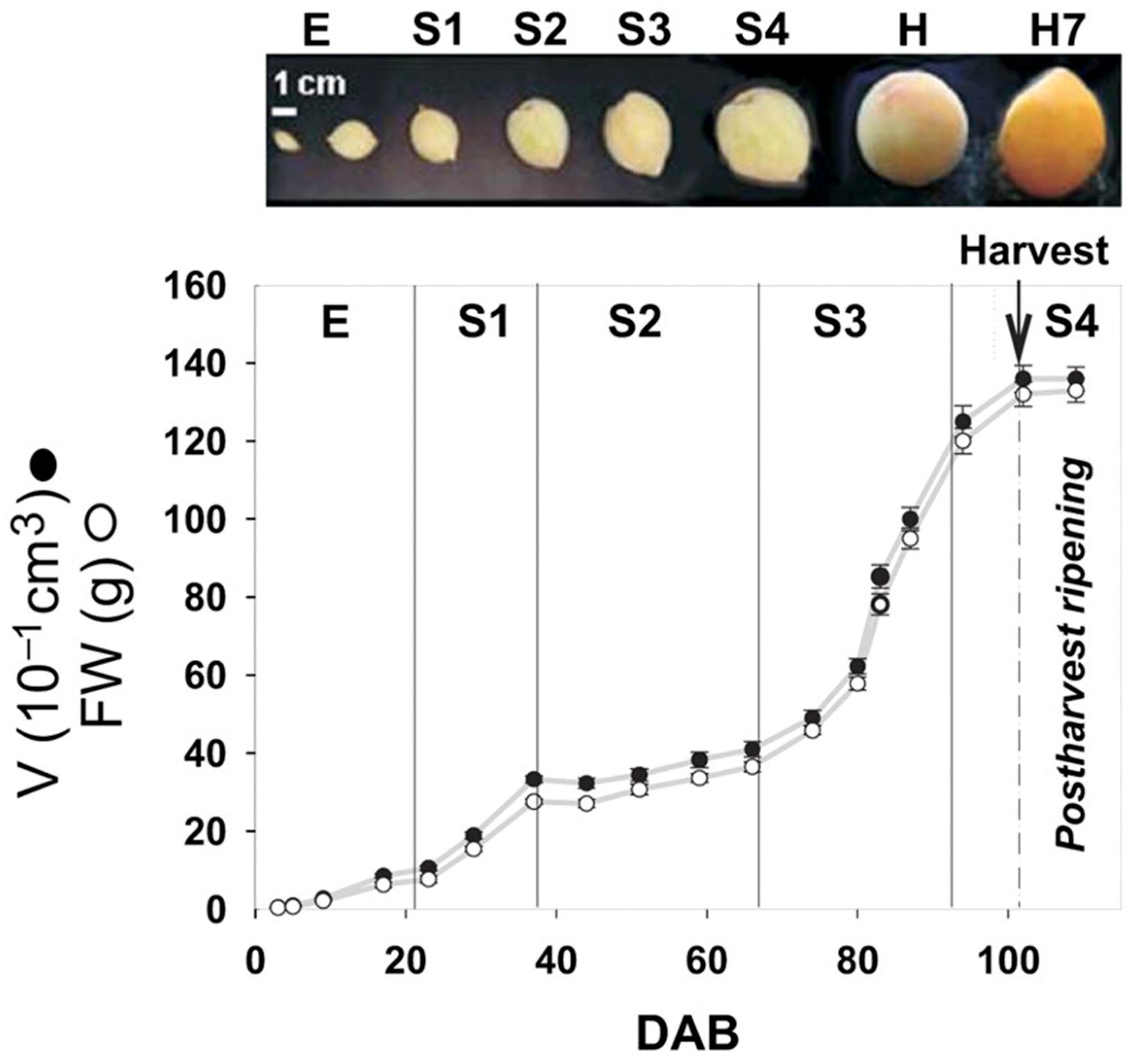 Ijms 26 05460 g001 Ijms 26 05460 g001