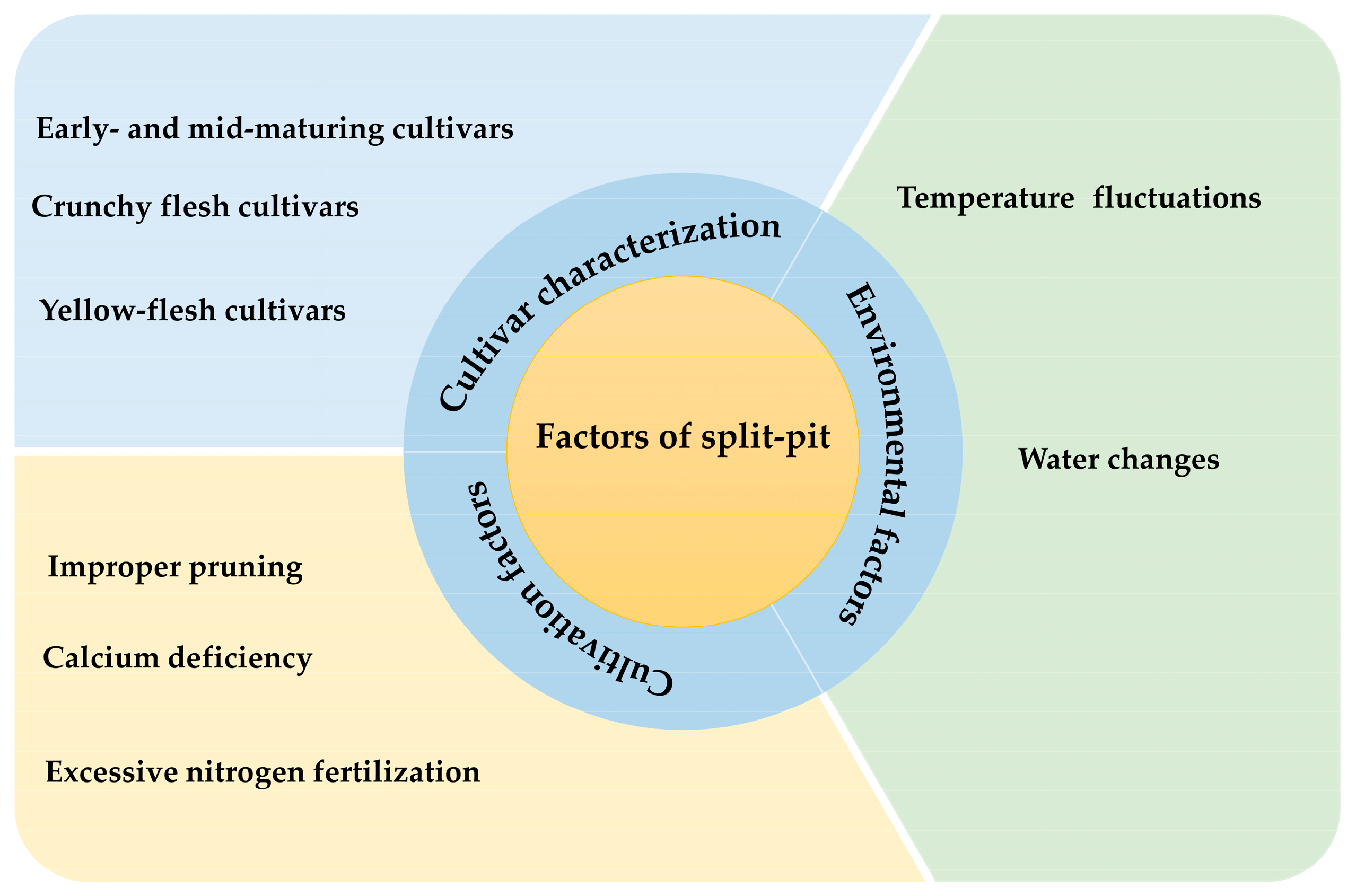 Ijms 26 05460 g002 Ijms 26 05460 g002