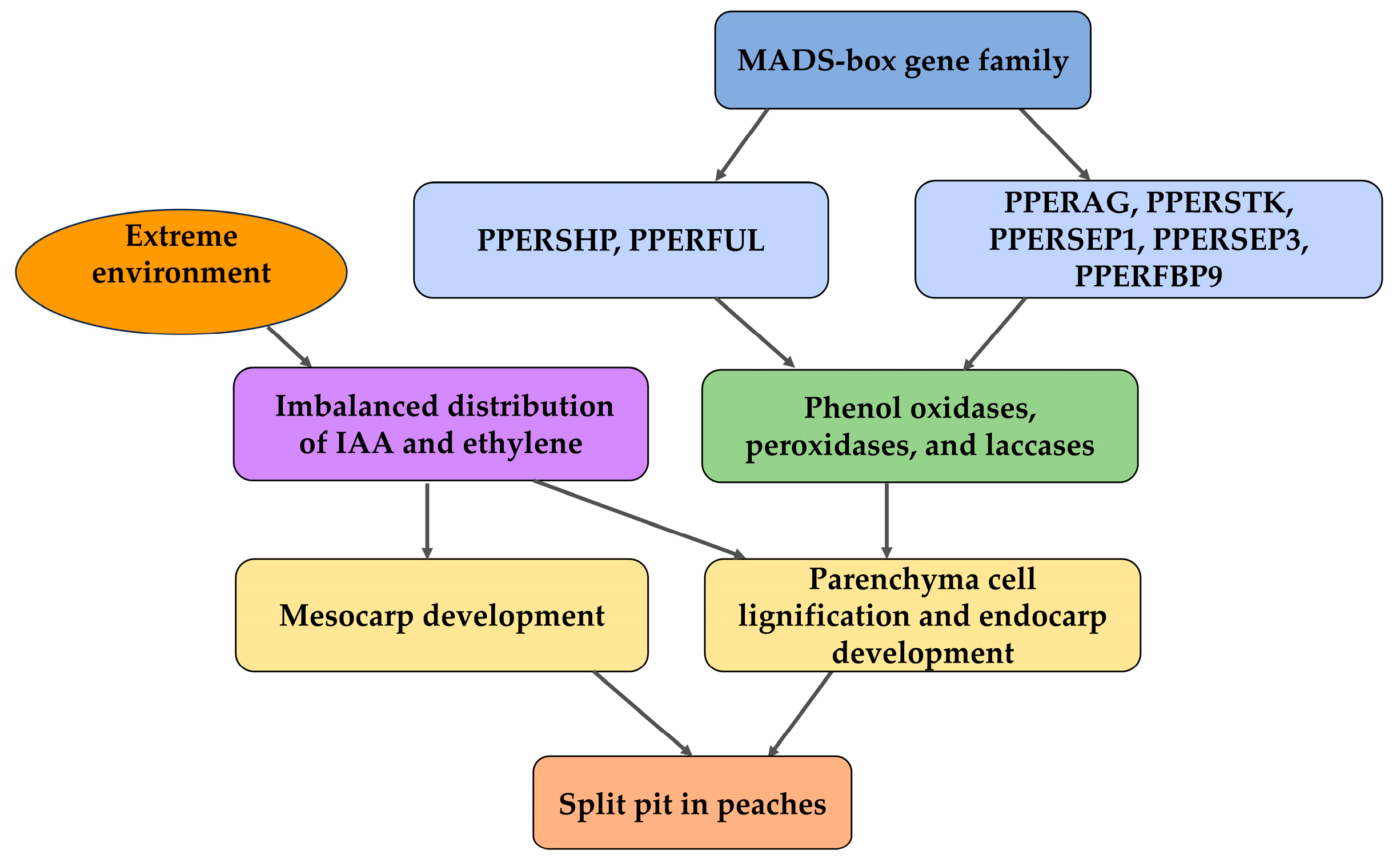 Ijms 26 05460 g004 Ijms 26 05460 g004